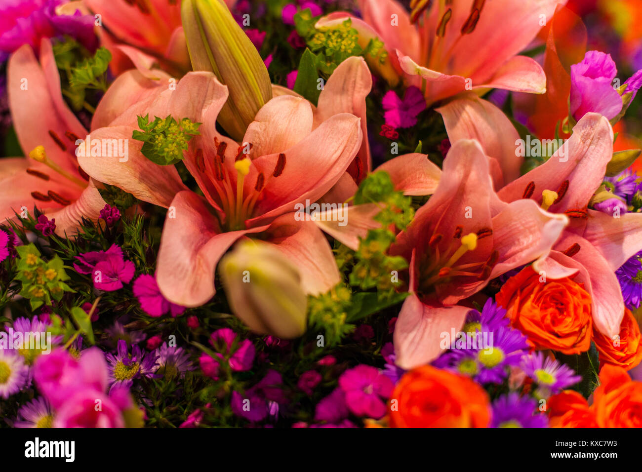 Le gemme di bellissimi gigli close up. Floristics, arredamento Foto Stock