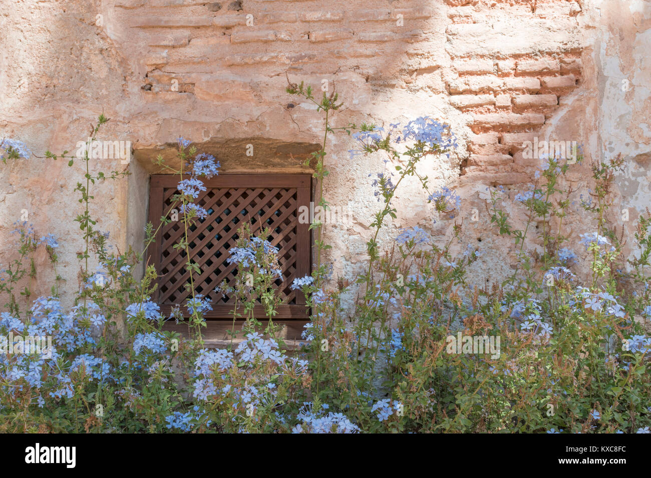 Giardini dell'Alhambra di Granada, Spagna Foto Stock