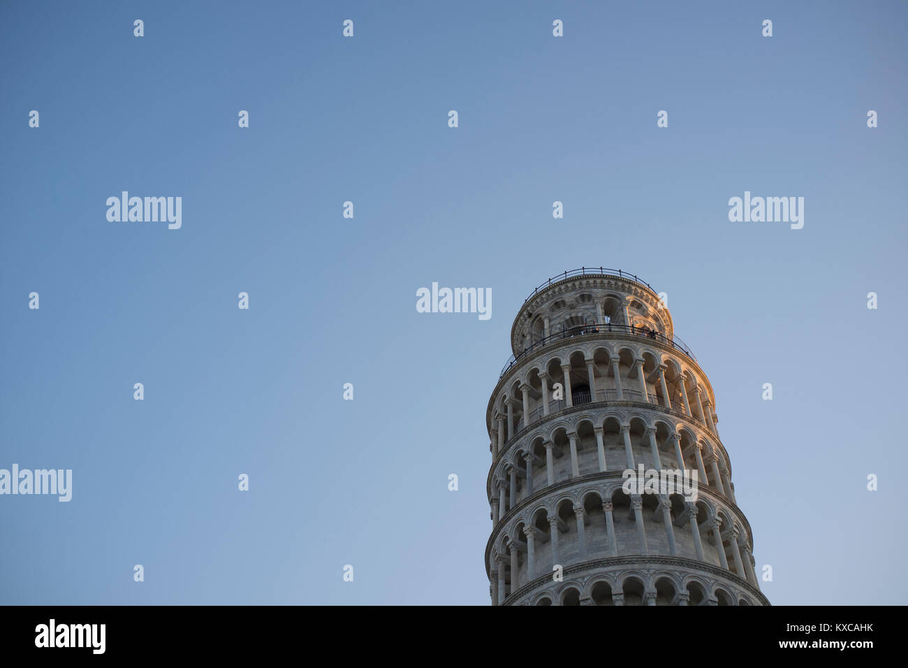 L'Italia, Toscana, Pisa, Torre Pendente nella luce della sera Foto Stock