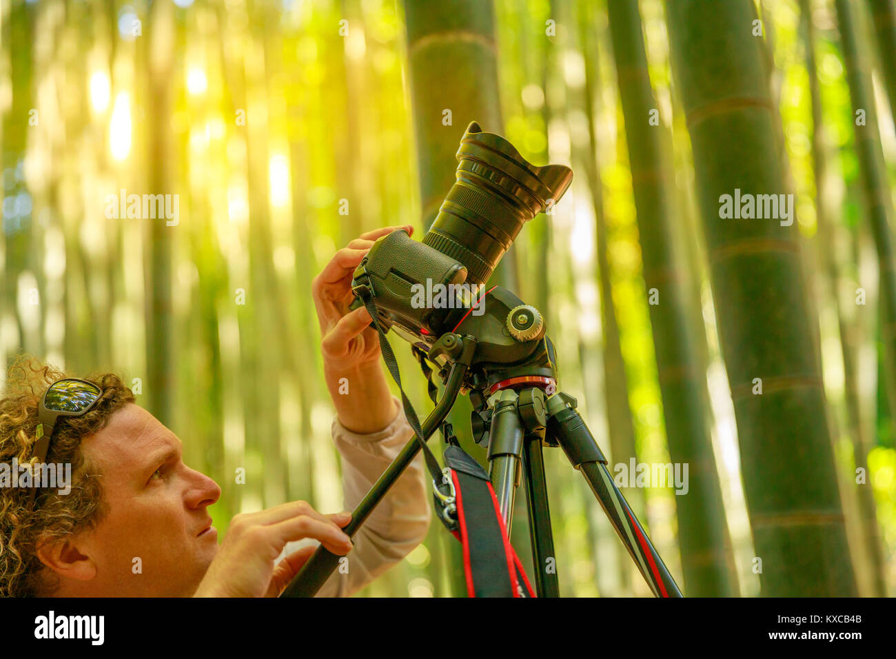 Prendere-dera fotografo di natura Foto Stock