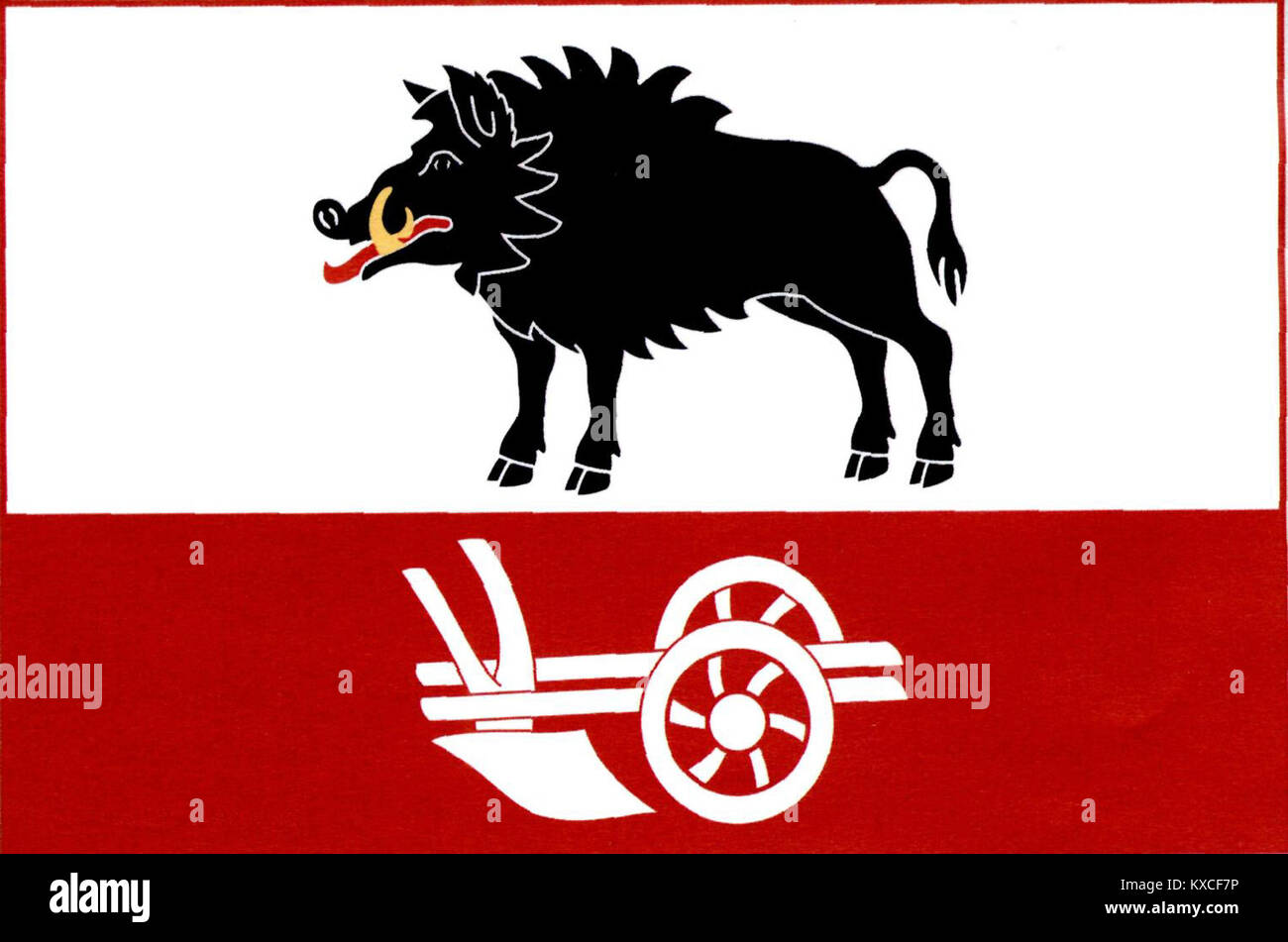 La bandiera del comune ceco di Vepříkov (regione di Vysočina) è costituita da un bicolore orizzontale bianco e rosso con un cinghiale nero rivolto a sinistra e un aratro bianco nella striscia rossa, che simboleggia il patrimonio locale e l'identità rurale. Foto Stock