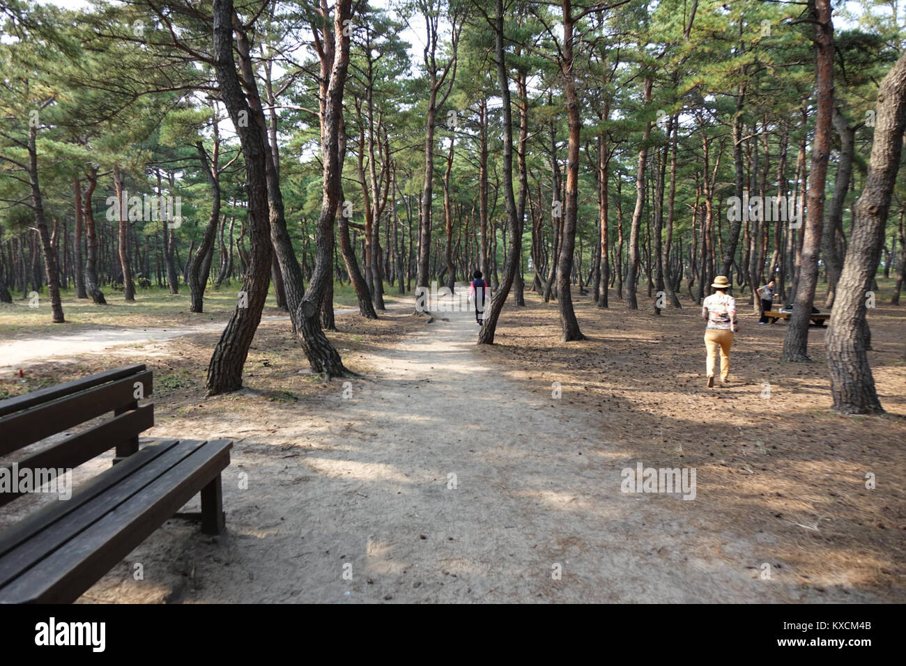 20151008 최광모 SONY DSC-RX10 DSC03768 20151024 Foto Stock