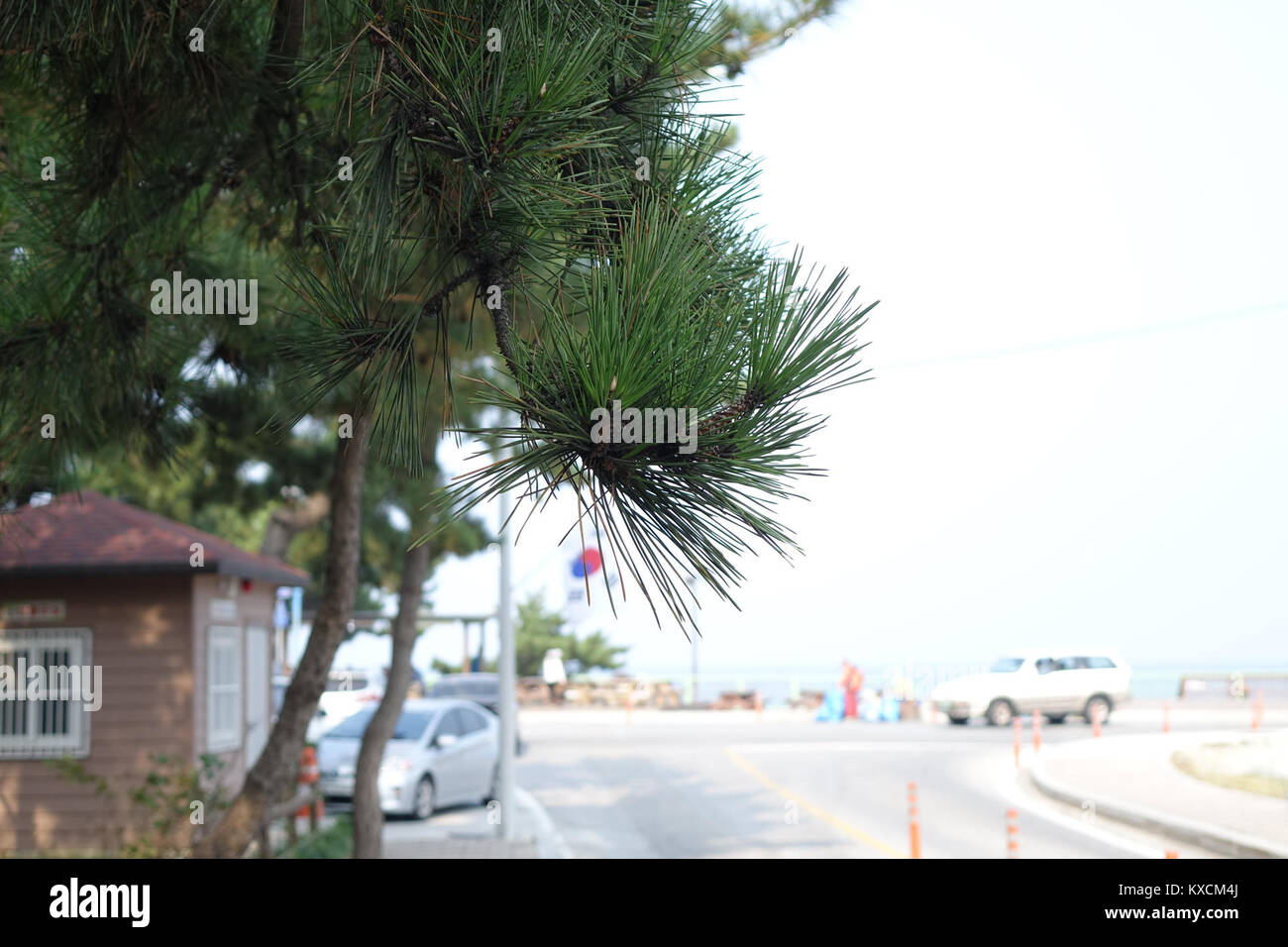 Questa fotografia, scattata l'8 ottobre 2015, con una SONY DSC-RX10, presenta un momento specifico catturato in alta qualità. L'immagine proviene da una fotocamera di livello professionale, che garantisce chiarezza e dettagli. Foto Stock