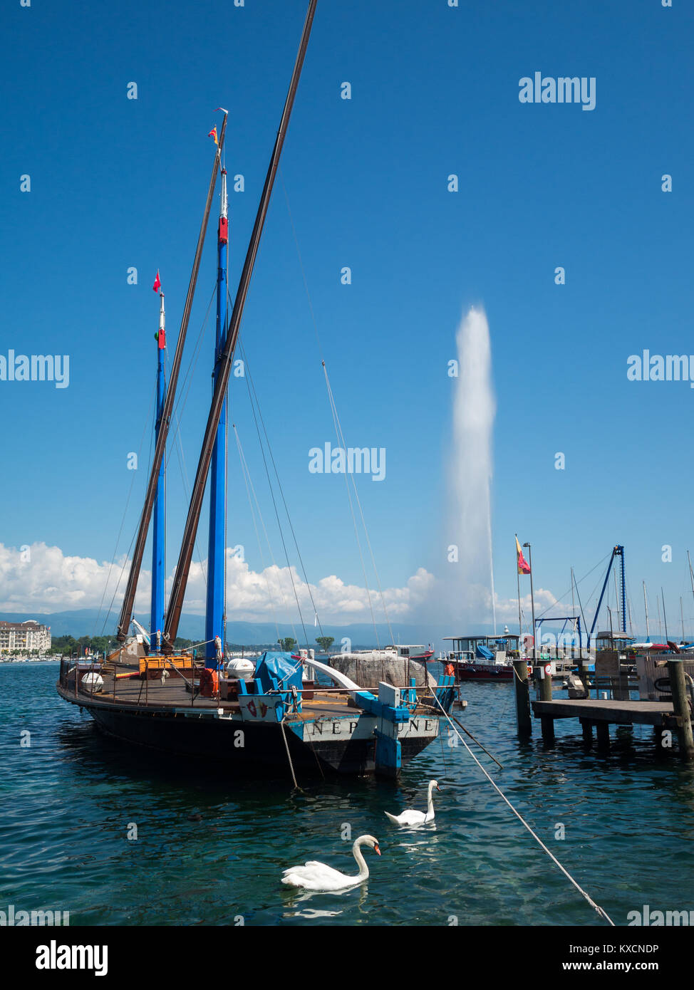 Marina dal lago di Ginevra a getto di acqua Foto Stock