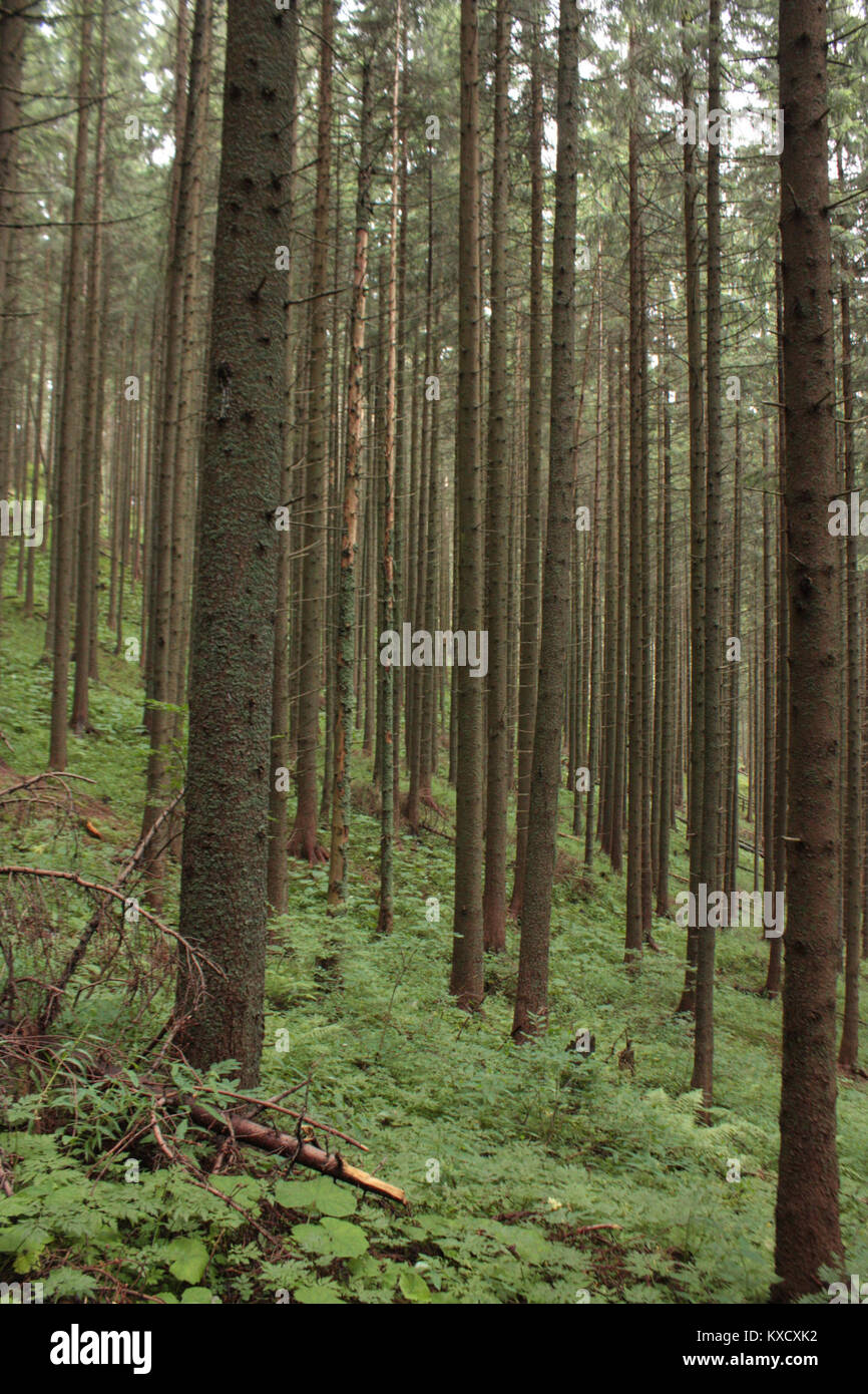 Un riferimento di file digitale denominato "3.díl", che indica la terza parte di una serie o di un documento, senza contenuto visivo o descrittivo disponibile. Foto Stock