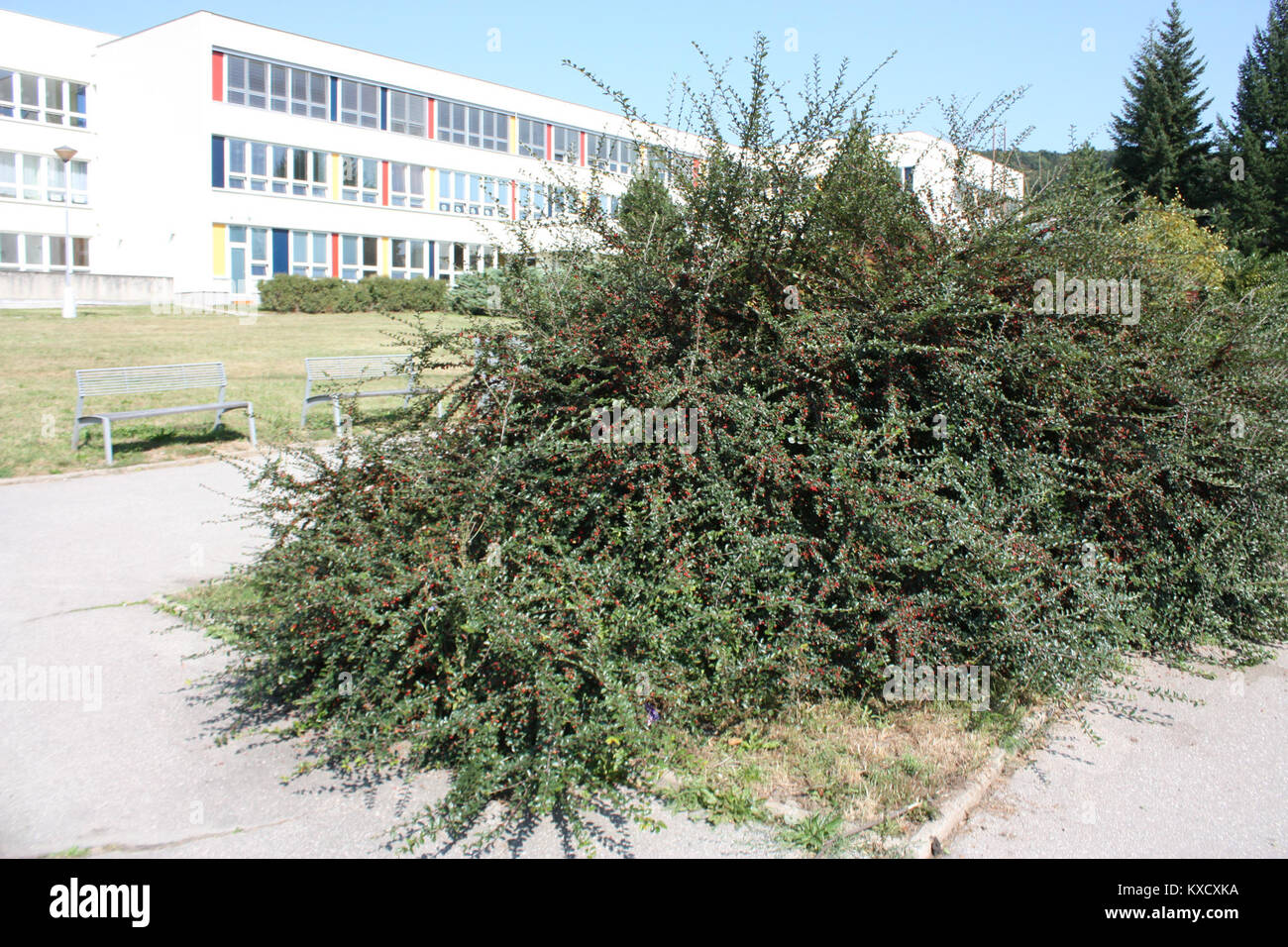 Un documento relativo alla struttura HTML o all'organizzazione di contenuti digitali, che probabilmente descrive elementi o codice utilizzati nello sviluppo web e nei sistemi informativi. Foto Stock