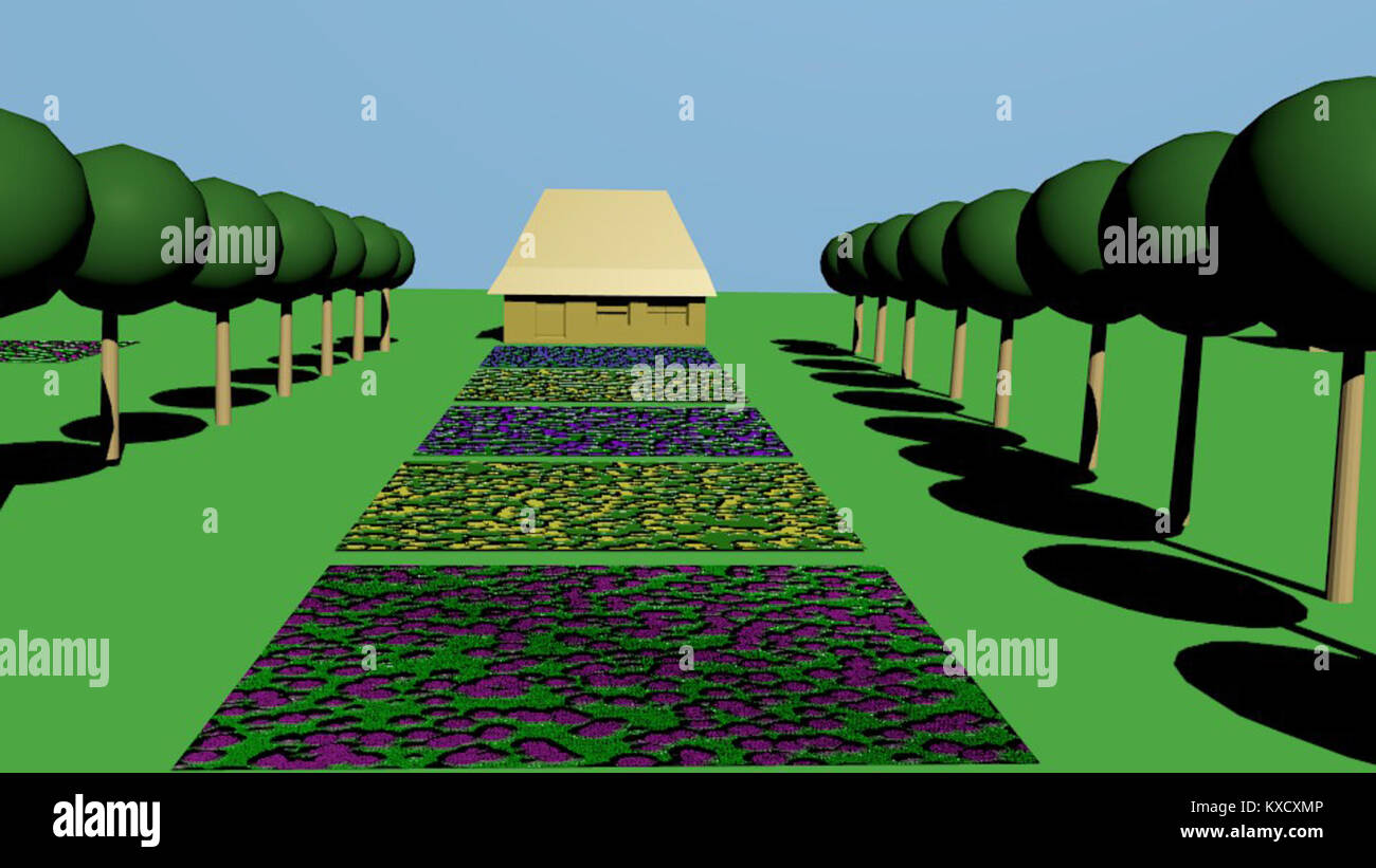 Elemento di documento HTML o frammento di codice che rappresenta una sezione di un archivio basato sul Web o una pagina tecnica in formato digitale. Foto Stock