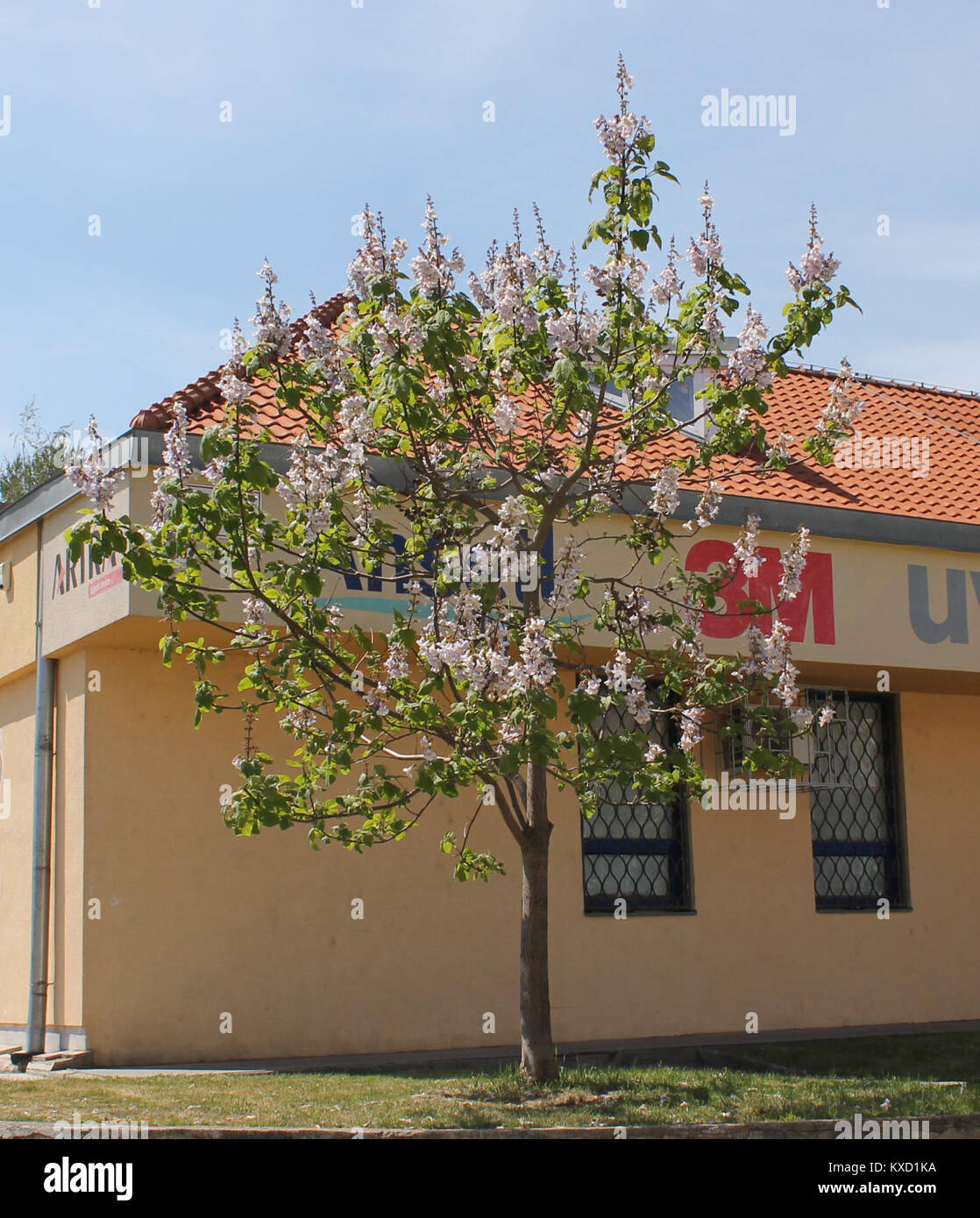Riferimento tecnico o codice associato a un documento o file digitale, utilizzato per l’identificazione, la catalogazione o l’archiviazione. Foto Stock