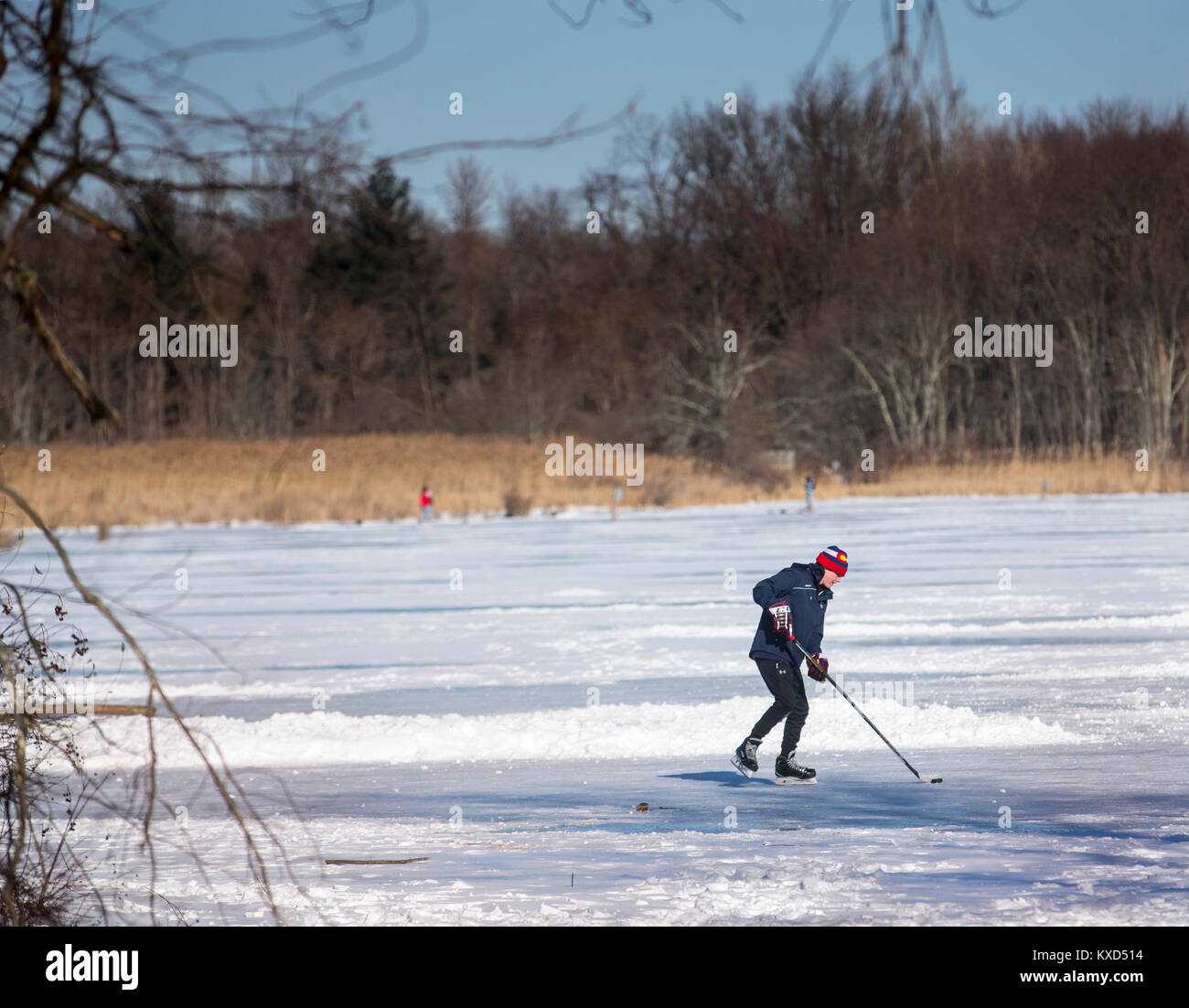 Giocatore di Hockey pattinaggio su un laghetto congelato Foto Stock
