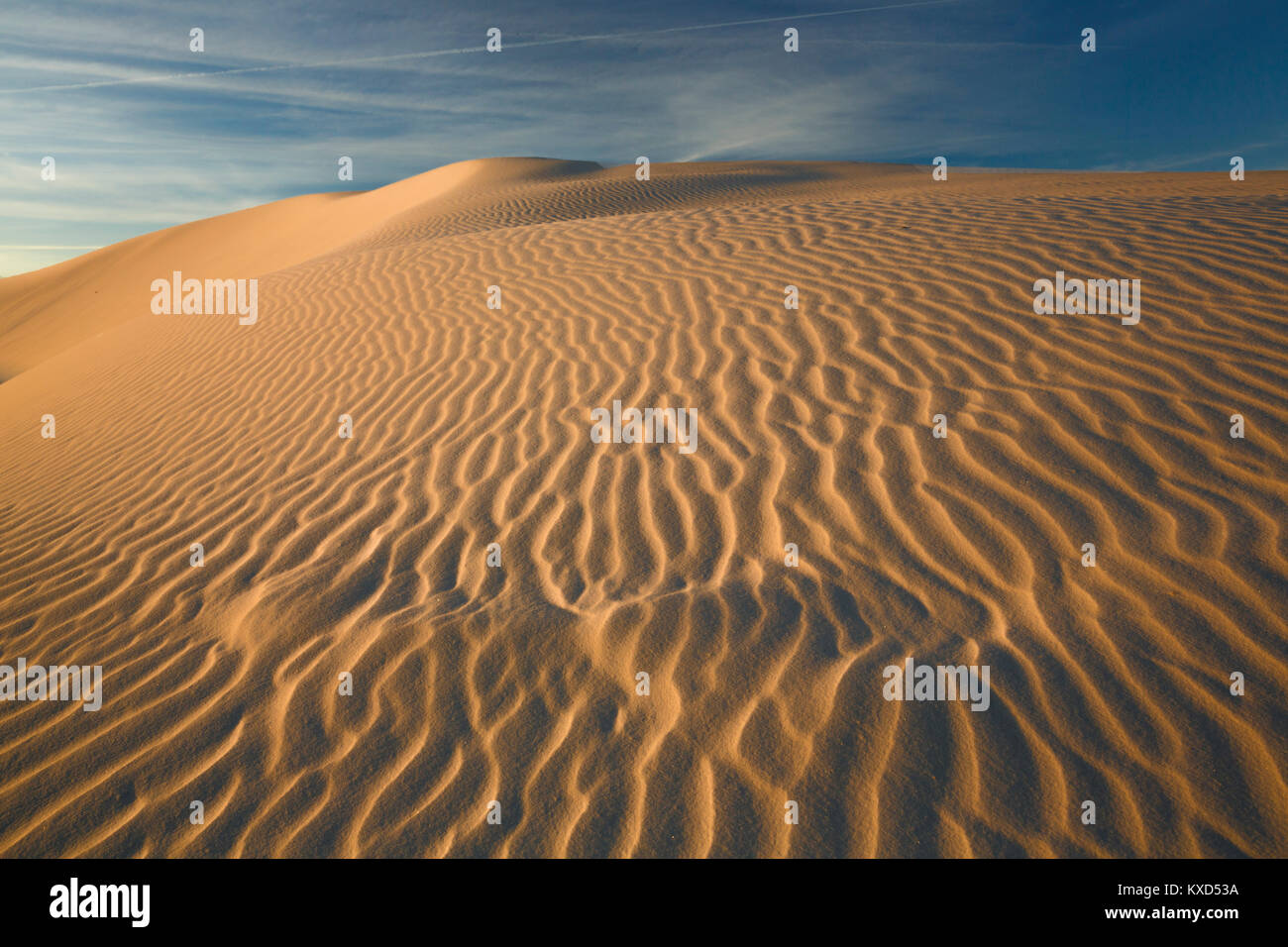 Visione idilliaca di deserto a White Sands National Monument Foto Stock