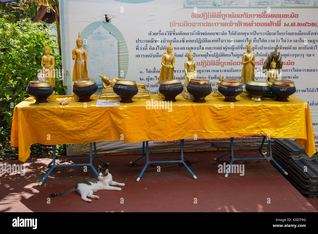 Le immagini del Buddha per sette giorni della settimana e ciotole per la raccolta di monete di donazione Foto Stock