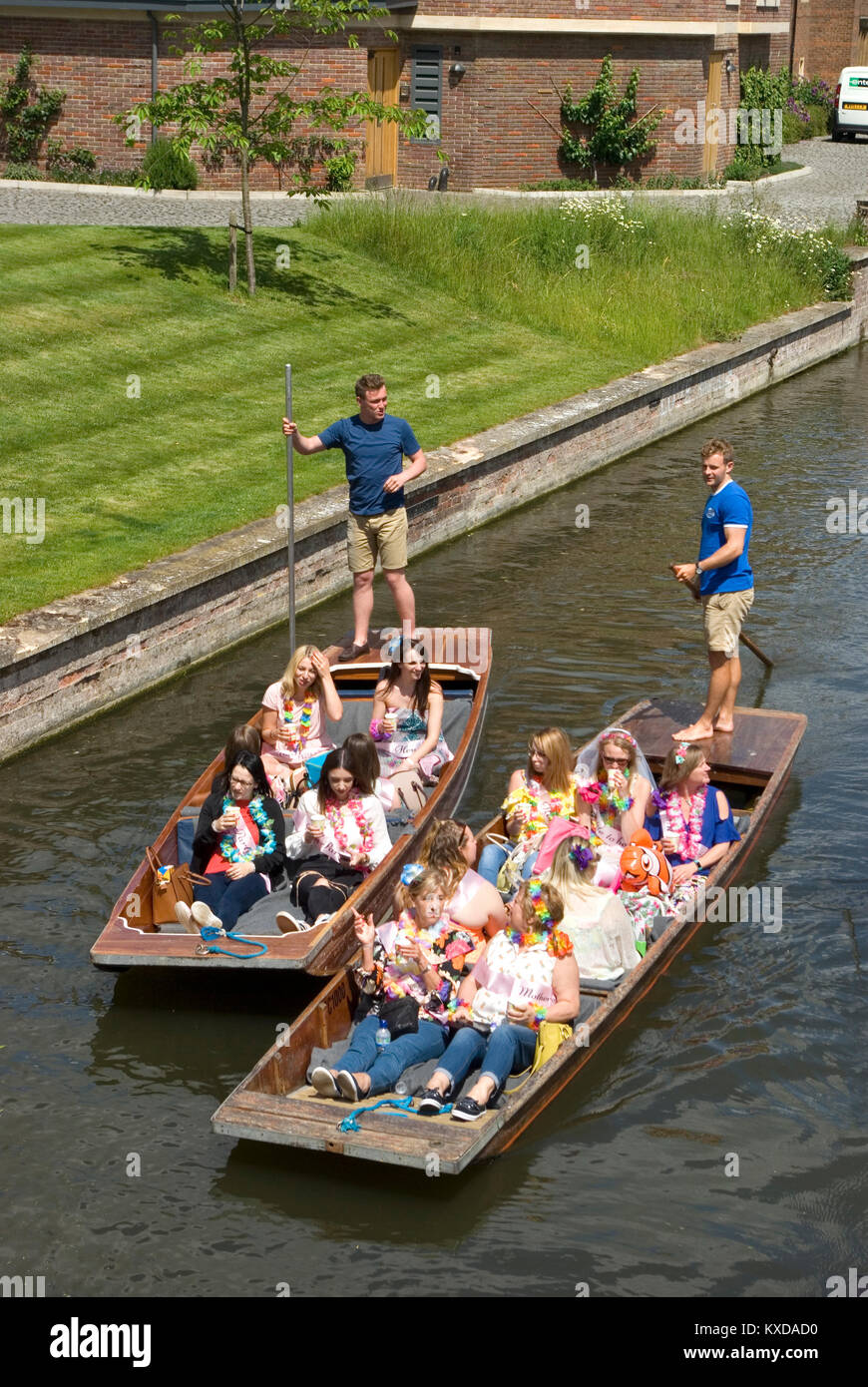 Hen Party Punting Foto Stock