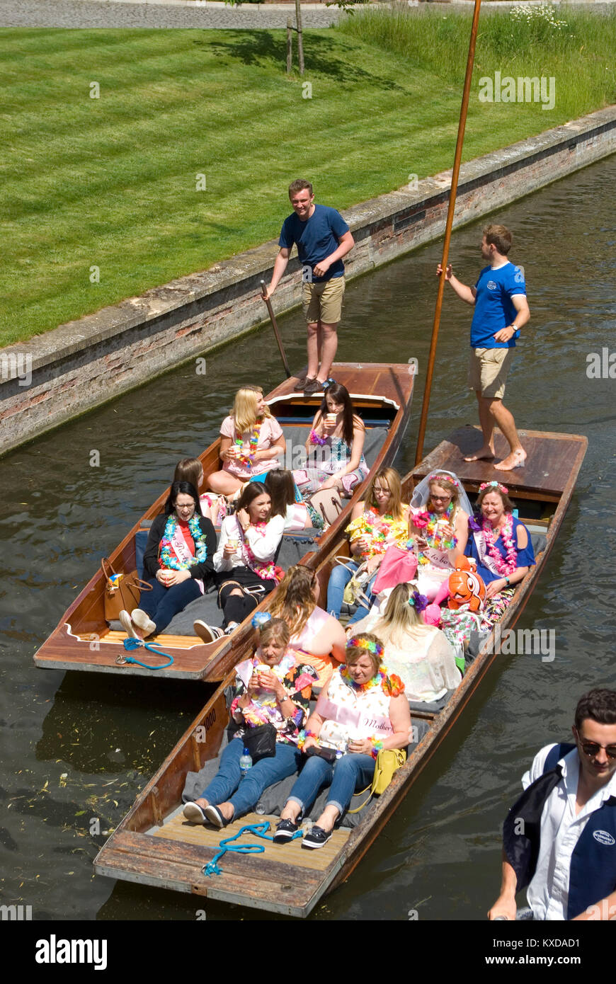 Hen Party Punting Foto Stock