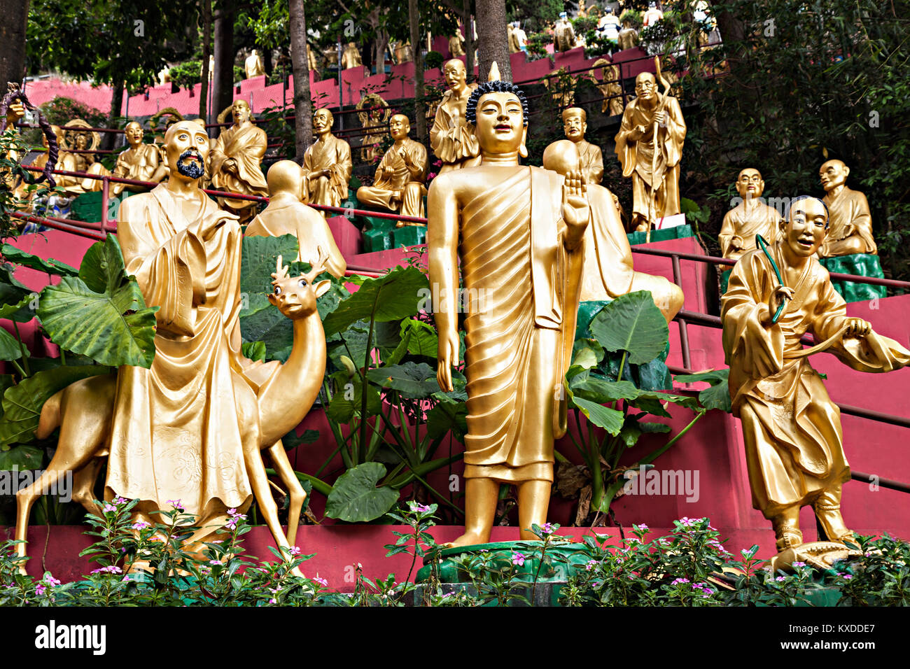 HONG KONG, CINA - 19 Marzo: Statue presso il Monastero dei Diecimila Buddha in Hong Kong in marzo, 19, 2013, Hong Kong, Cina. Si tratta di uno tra i più popolari Foto Stock