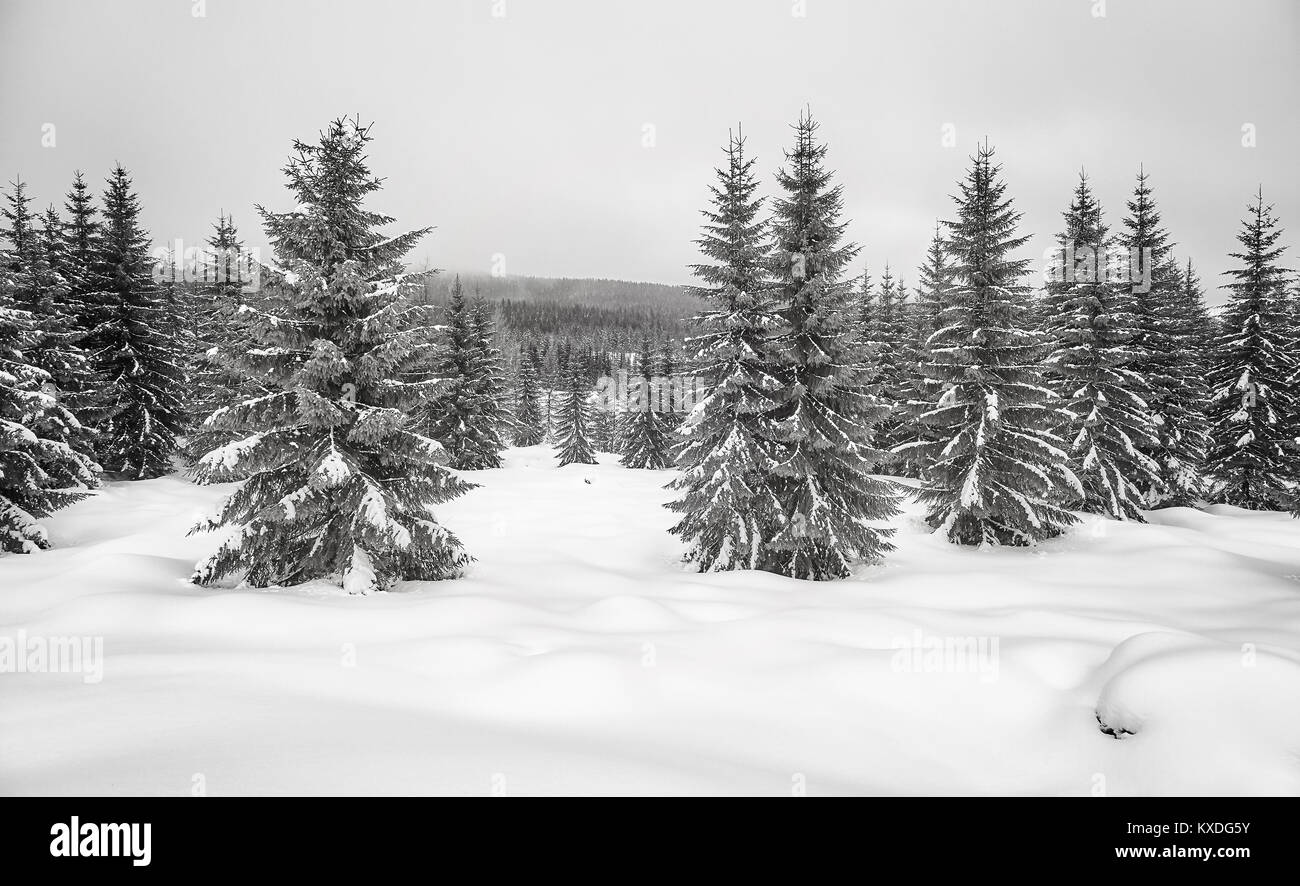 Immagine in bianco e nero di una montagna paesaggio invernale. Foto Stock