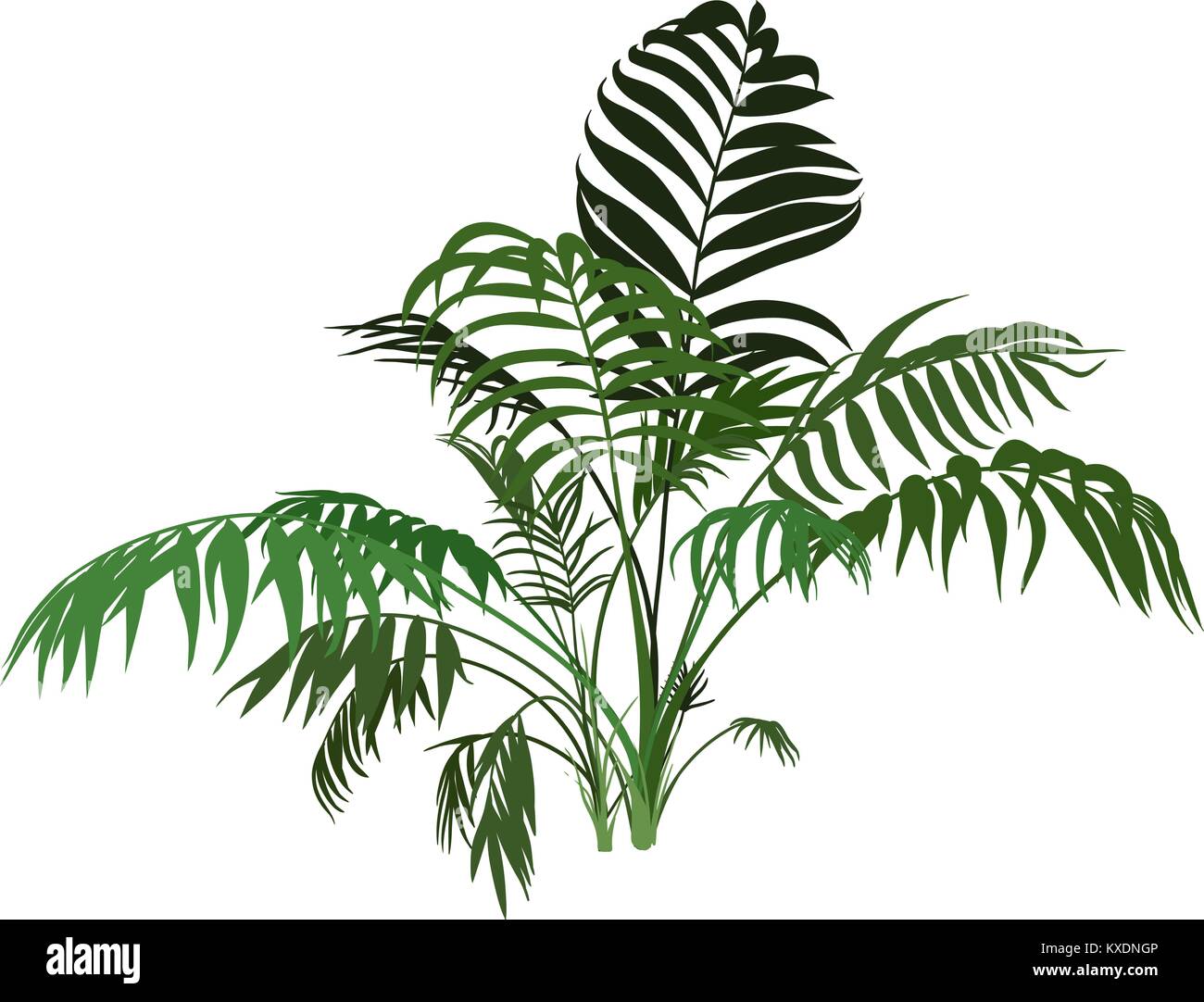 Palm Tree Illustrazione Vettoriale