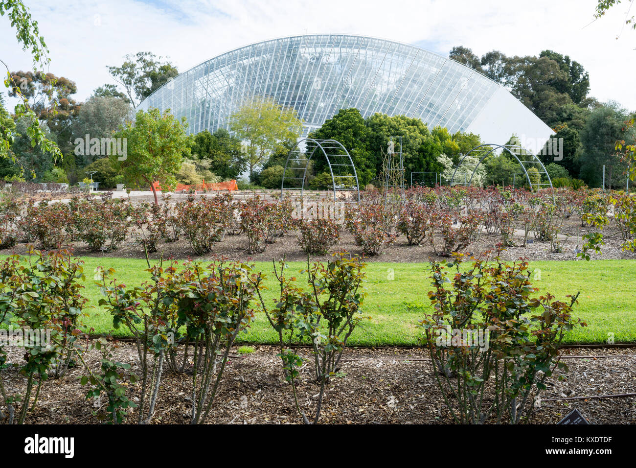 Adelaide, South Australia, Australia - 10 Settembre 2017: il bicentenario del Conservatorio sul Adelaide Botanic Garden, costruito nel 1988 con il rose garde Foto Stock
