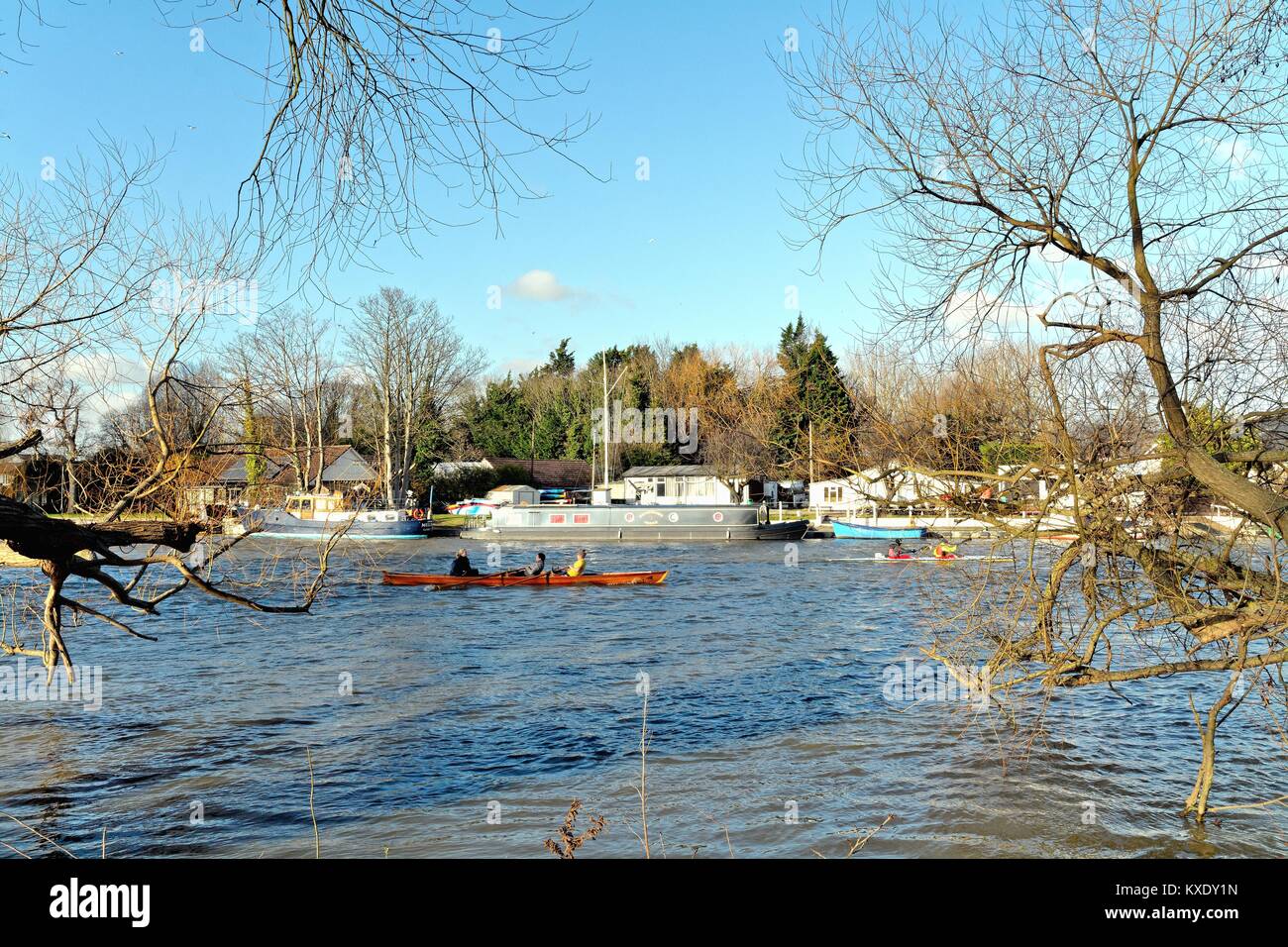 Case residenziali sul Fiume Tamigi a Shepperton Spelthorne Surrey in Inghilterra REGNO UNITO Foto Stock