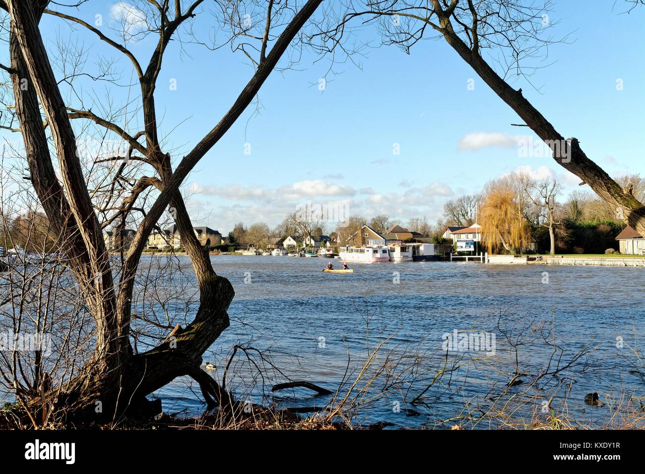 Case residenziali sul Fiume Tamigi a Shepperton Spelthorne Surrey in Inghilterra REGNO UNITO Foto Stock