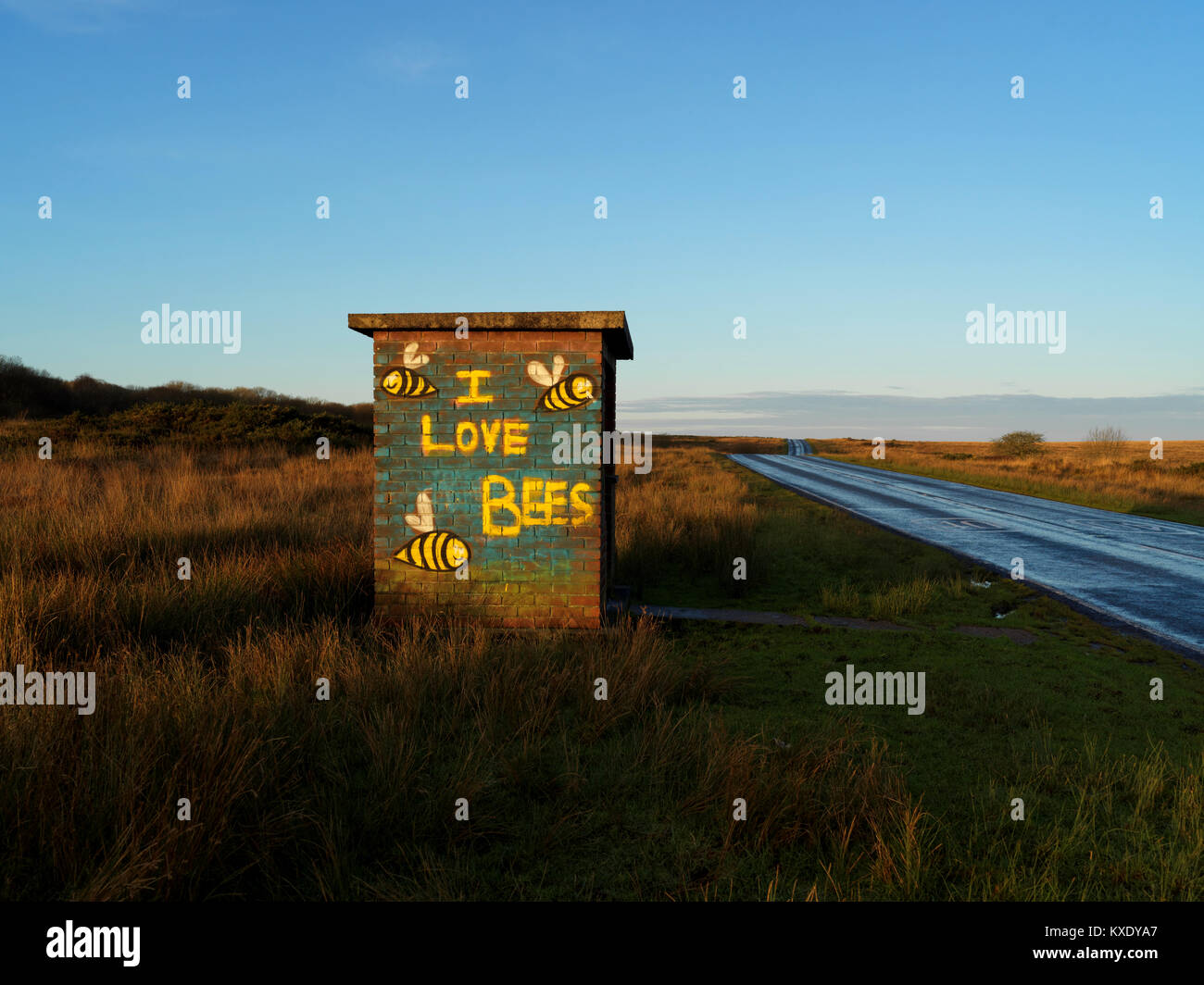 Un mattone-bus integrato un rifugio con "Io amo le api" murale vicino Lunnon, Gower Foto Stock