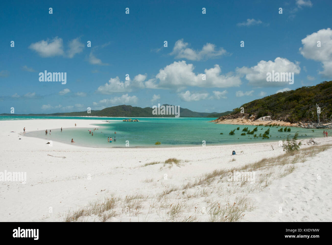 Immacolate spiagge di sabbia bianca di Whitehaven Beach, Whitsundays, Queensland con sorprendente mare color smeraldo, Coral Sea, il blu del cielo e le persone in lontananza la balneazione. Foto Stock