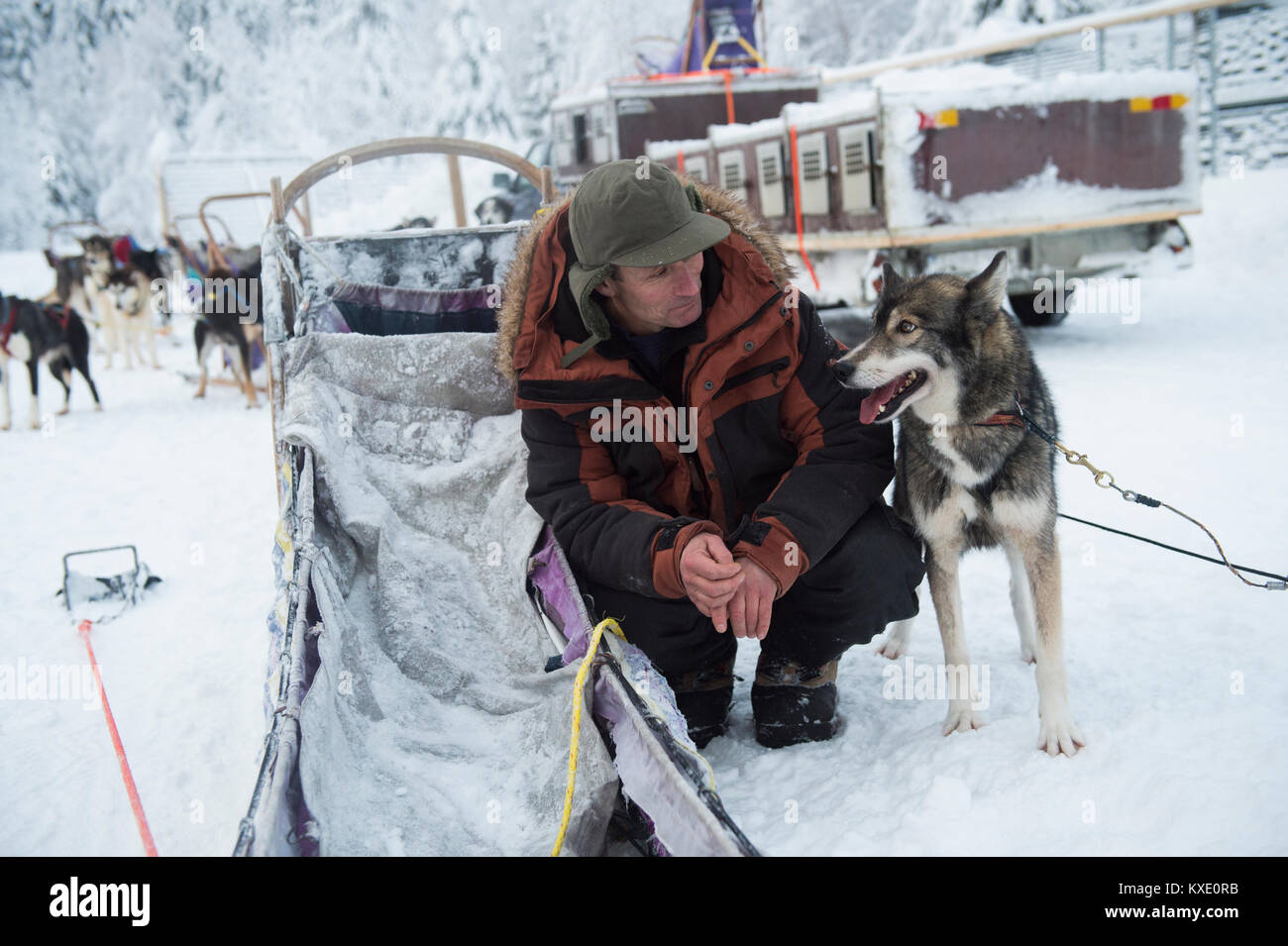 Siberian Husky Sled Dog e musher ritratto in Svezia. Foto Stock