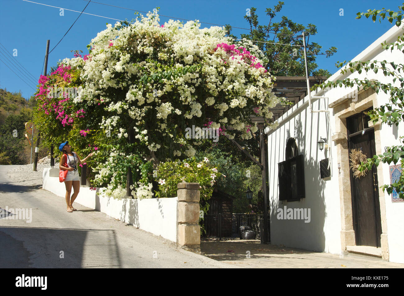 Donna che cammina giù per una strada in Karmi e godendo i fiori colorati nei giardini, Cipro Foto Stock