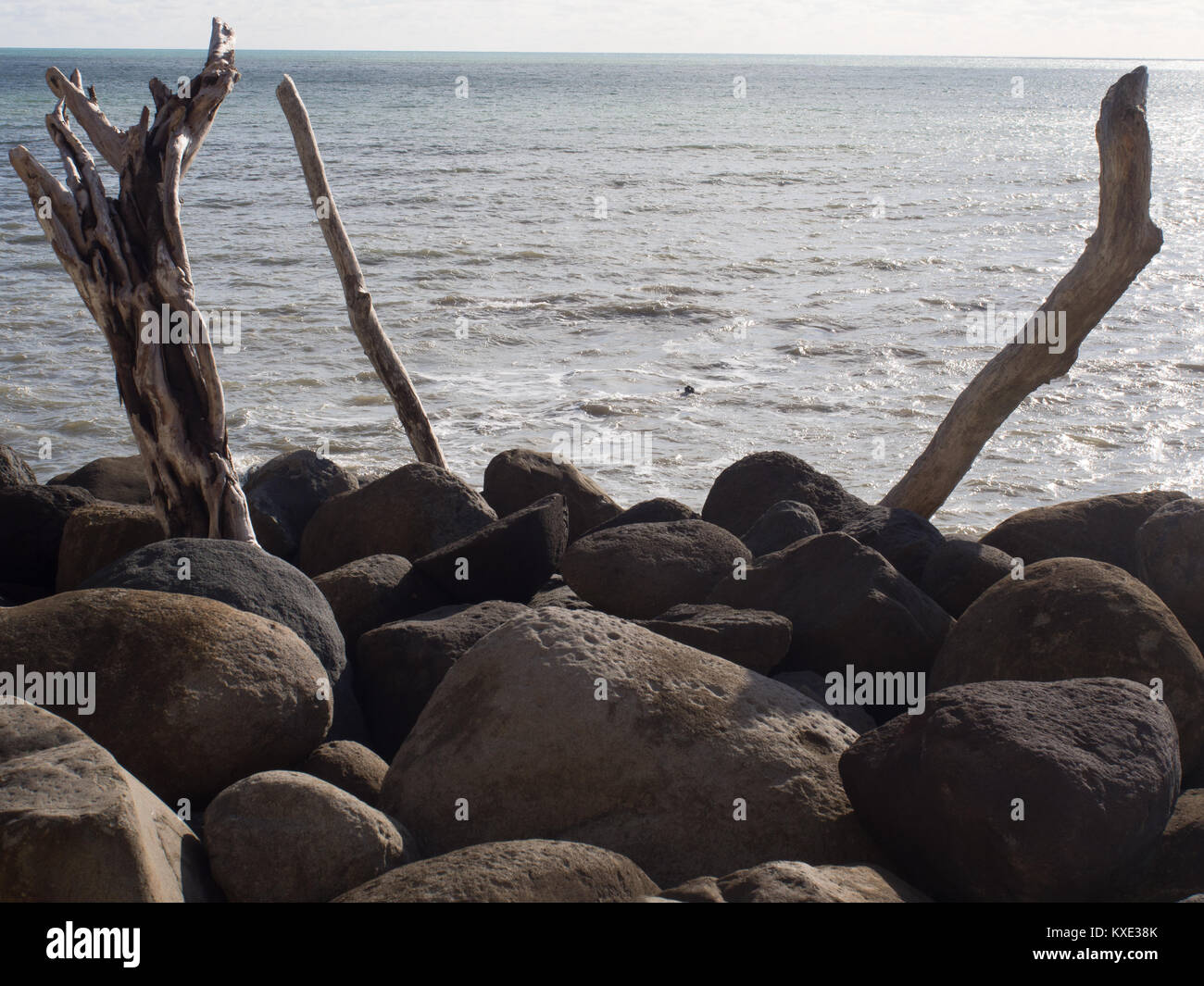 Bastoni in rocce che si affacciano sull'oceano Foto Stock