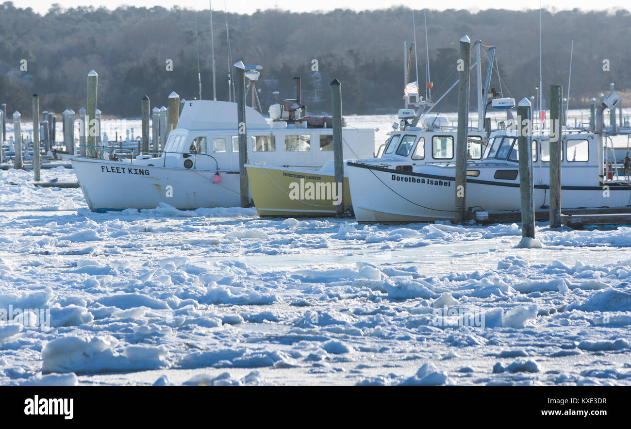 Attraccata commerciale barche da pesca congelati in luogo nel porto Sesuit, Dennis, Massachusetts, Cape Cod, STATI UNITI D'AMERICA Foto Stock