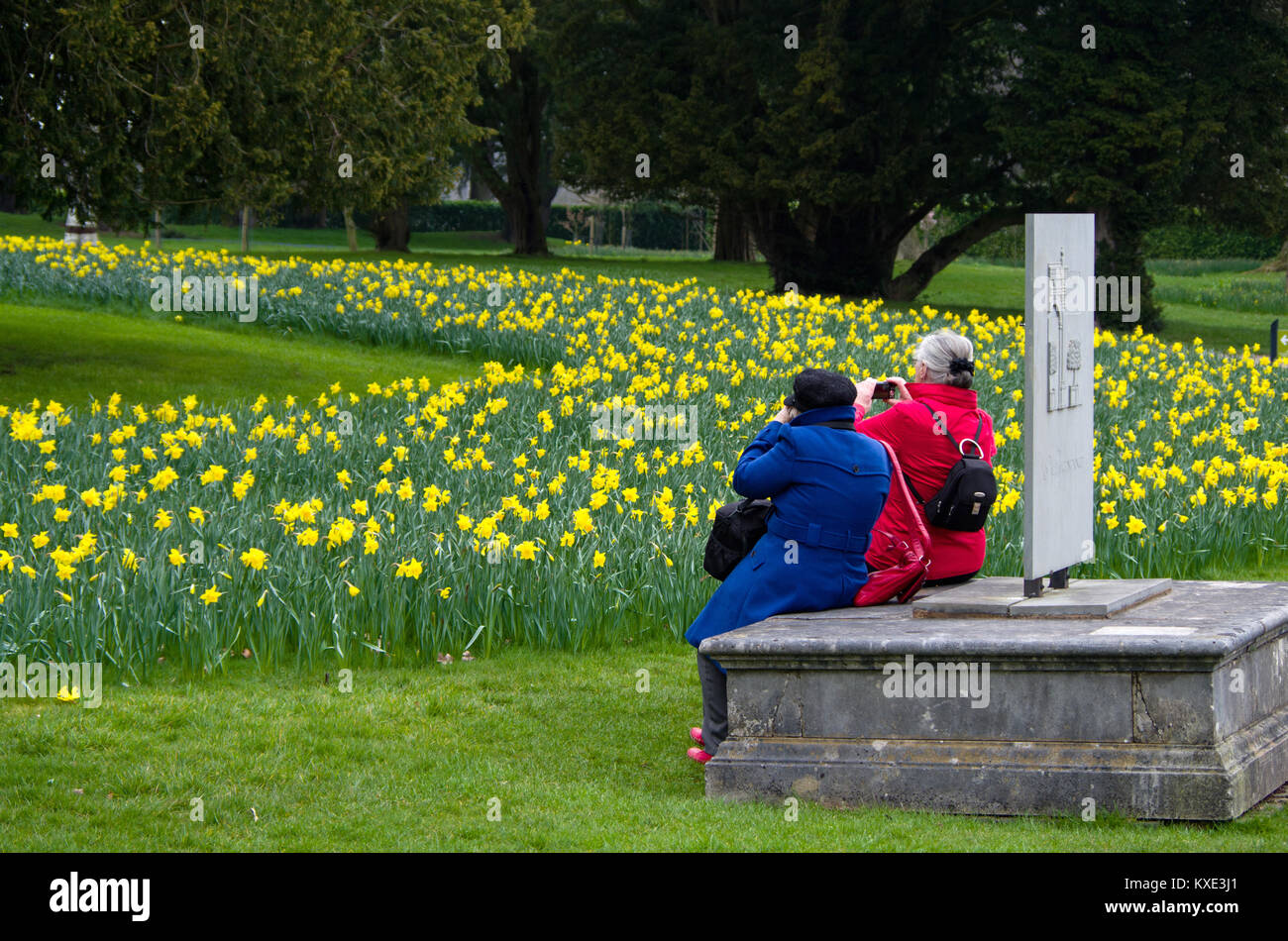 Due anziani signori, a contrastare il rosso e il blu cappotti, fotografare fiori di primavera a Trentham Gardens; Stoke on Trent, Staffordshire Foto Stock