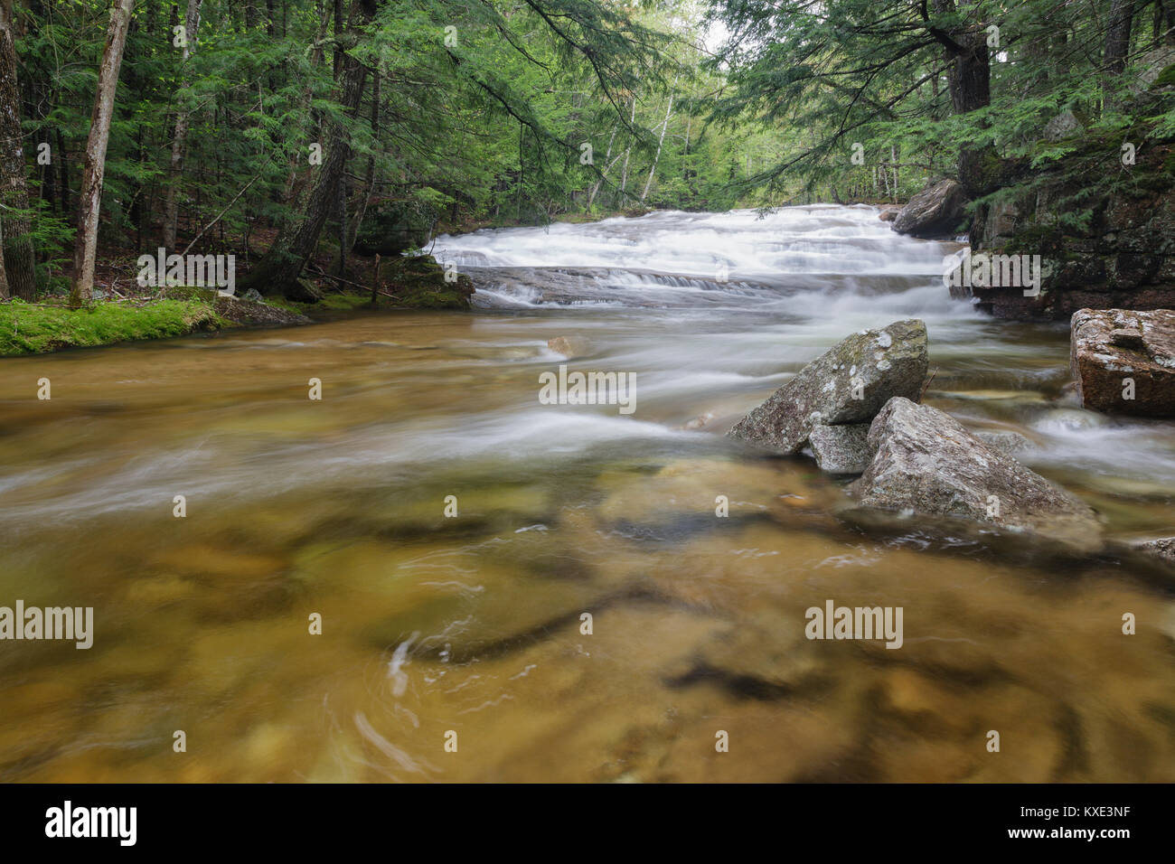 Bartlett foresta sperimentale - Albany Brook in Bartlett, New Hampshire durante i mesi primaverili. Foto Stock