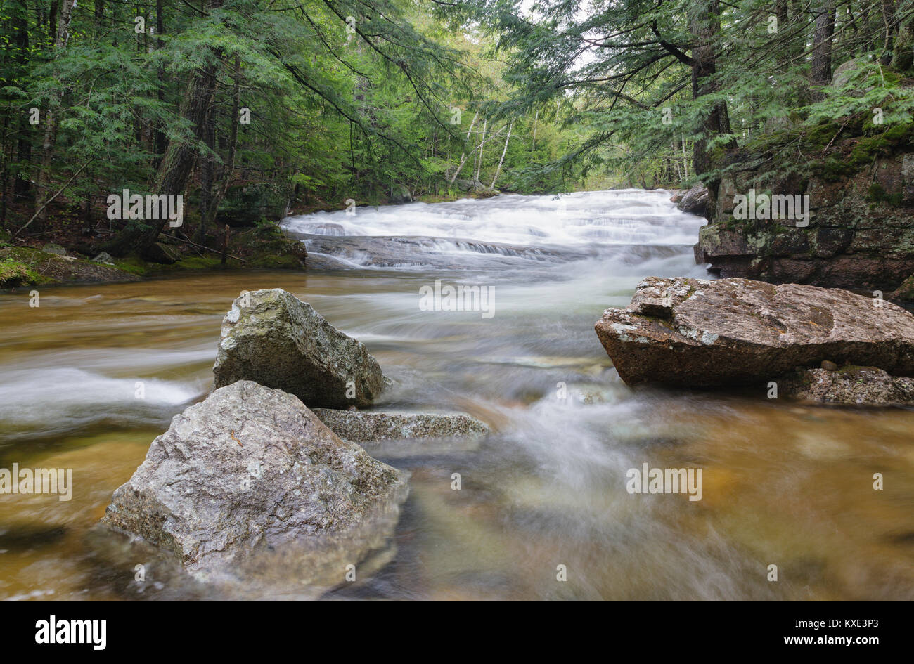Bartlett foresta sperimentale - Albany Brook in Bartlett, New Hampshire durante i mesi primaverili. Foto Stock