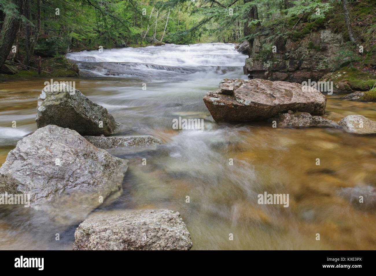 Bartlett foresta sperimentale - Albany Brook in Bartlett, New Hampshire durante i mesi primaverili. Foto Stock