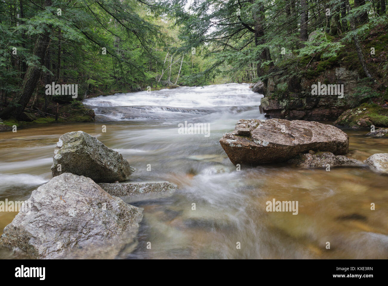 Bartlett foresta sperimentale - Albany Brook in Bartlett, New Hampshire durante i mesi primaverili. Foto Stock