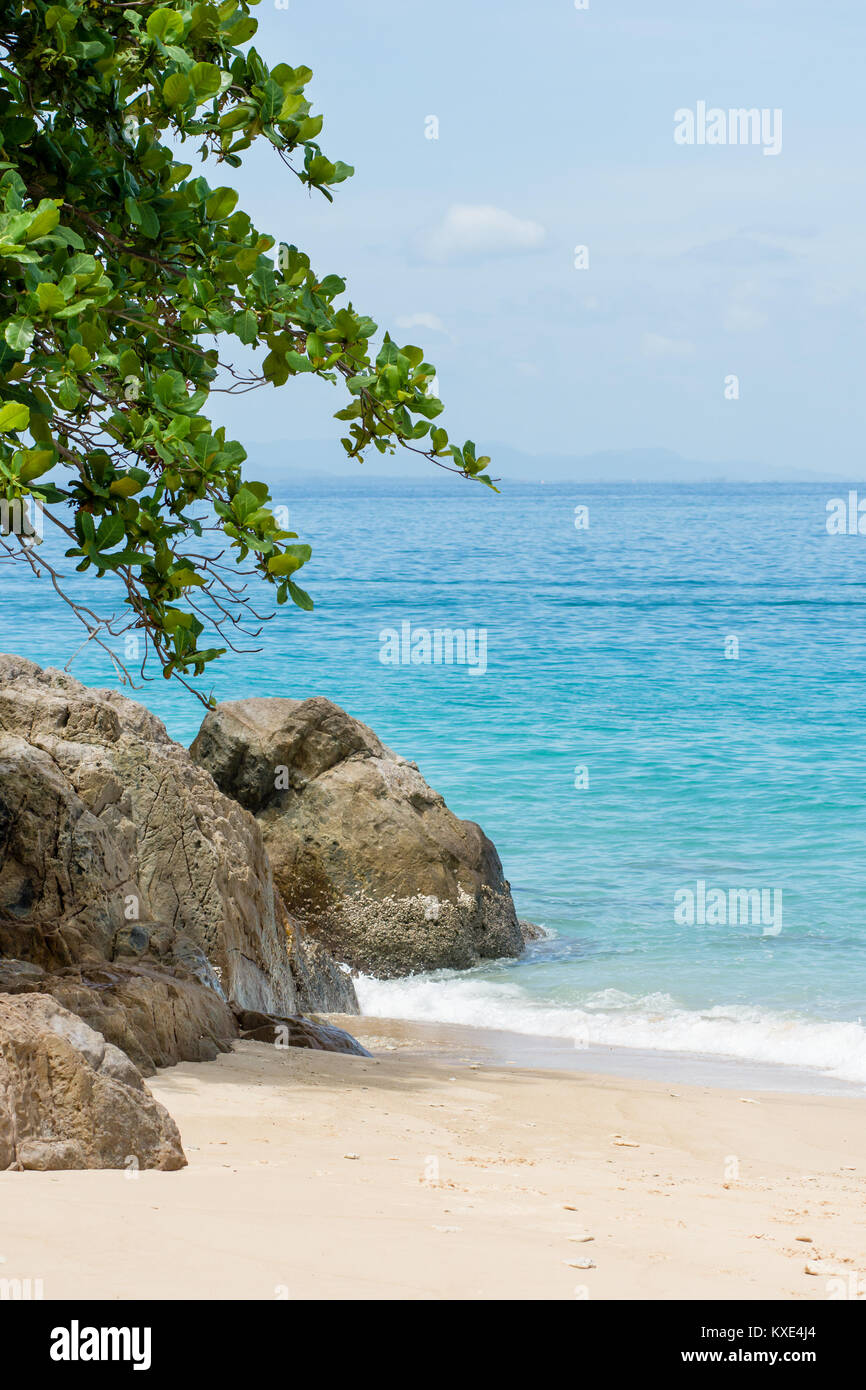 Una sana albero verde sovrasta sfumature rocce di grandi dimensioni su paradise spiaggia di sabbia bianca che si affaccia la calma del mare turchese e orizzonte. Foto Stock