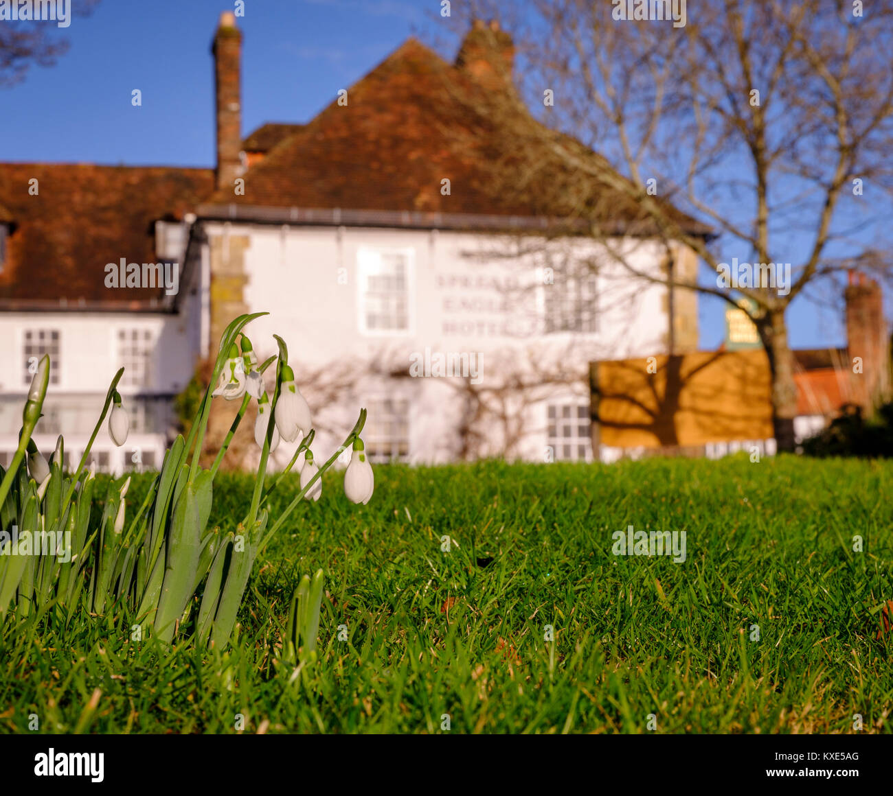 Lo Spread Eagle Hotel a Midhurst, West Sussex. Foto Stock