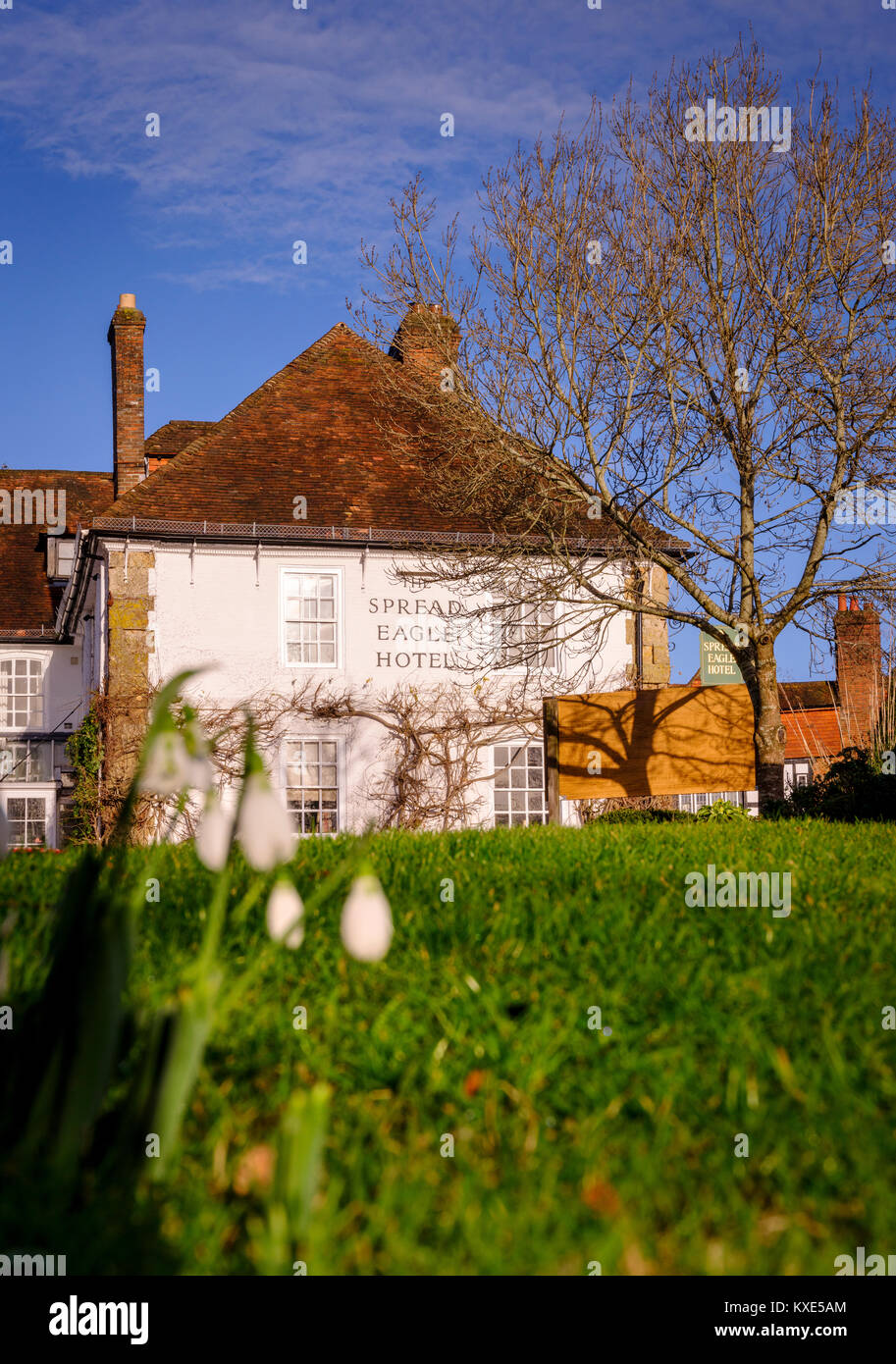 Lo Spread Eagle Hotel a Midhurst, West Sussex. Foto Stock