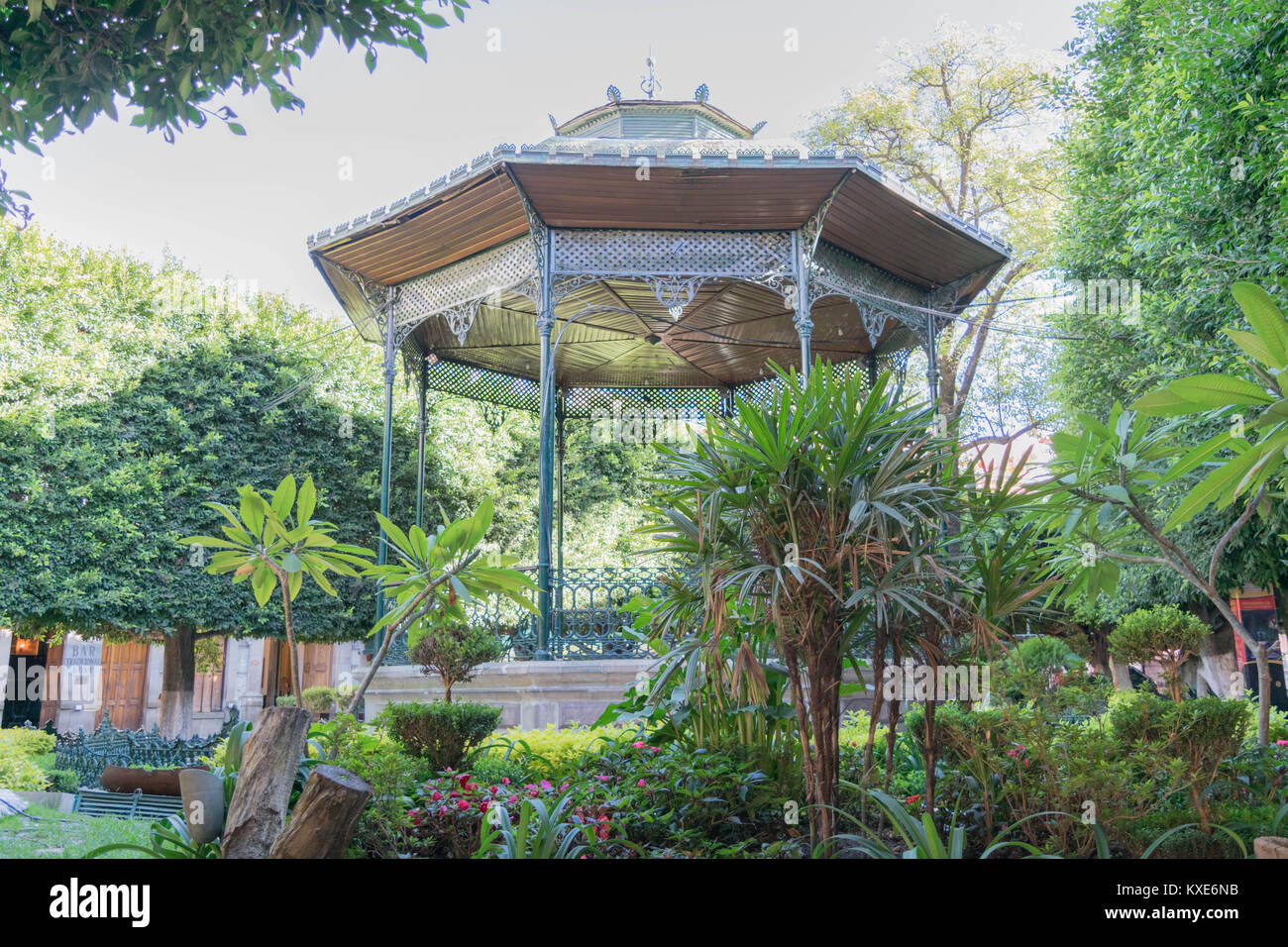 Bella, ornati gazebo circondato da lussureggiante vegetazione, nel centro parco, in Guanajuato, Messico Foto Stock