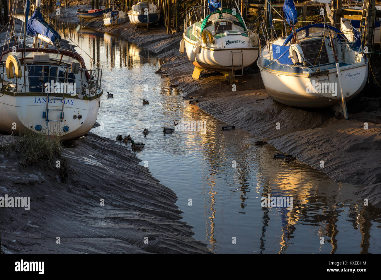 Wardleys Creek Hambleton Lancashire Foto Stock