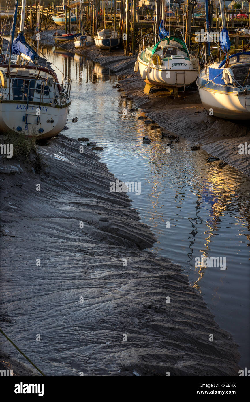 Wardleys Creek Hambleton Lancashire Foto Stock