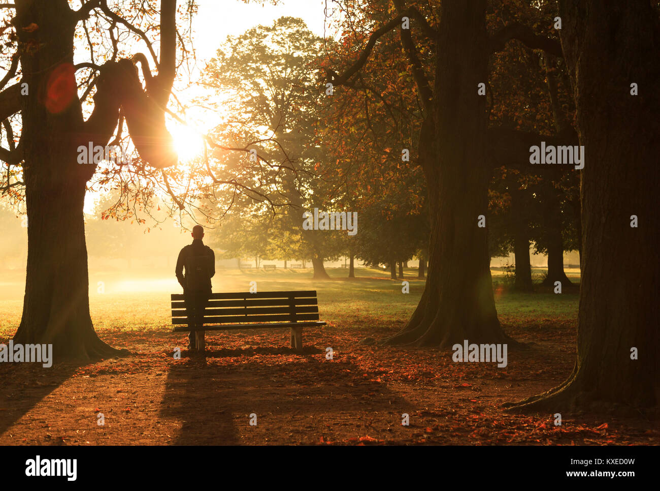 Uomo appoggiato a un banco, godendo di una nebbia di mattina di autunno in un parco. Foto Stock