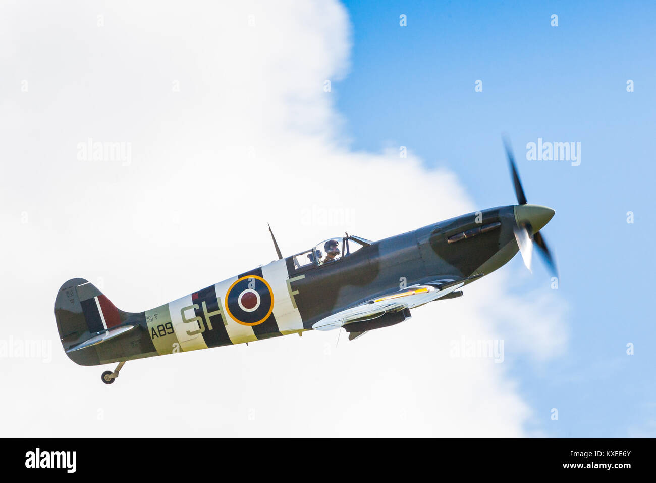 Spitfire LF Mk.vb AB910. Azionato da RAF Battle of Britain Memorial Flight. Battaglia di Bretagna settantacinquesimo anniversario a Goodwood (RAF Westhampnett) Foto Stock