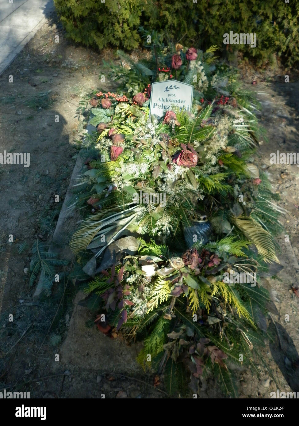 La tomba di Aleksander Pełczyński, situata in Polonia, commemora la vita di questo individuo e fa parte dei registri storici di sepoltura locali. Foto Stock