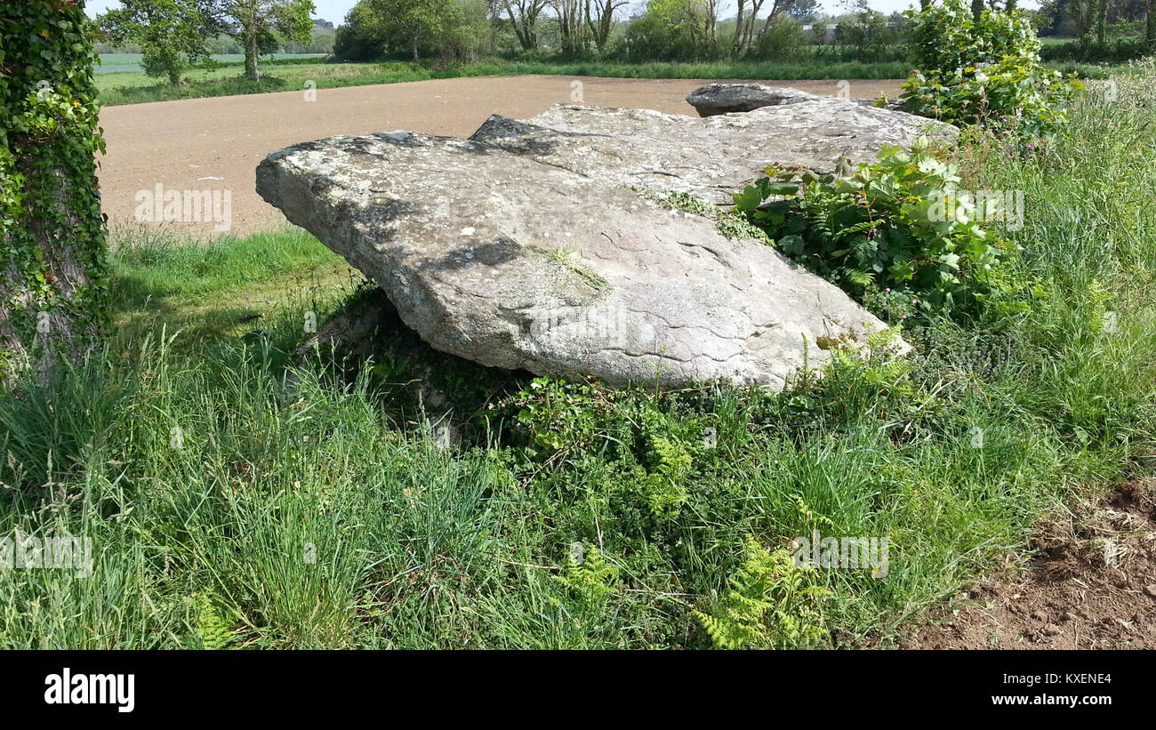 Allée couverte de Curbannalec - vue depuis le nord-ouest Foto Stock