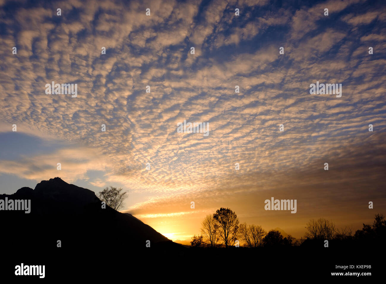 Nuvole di pecora (Altocumulus) al crepuscolo,sulla sinistra la sagoma del monte Untersberg,Salisburgo, Austria Foto Stock