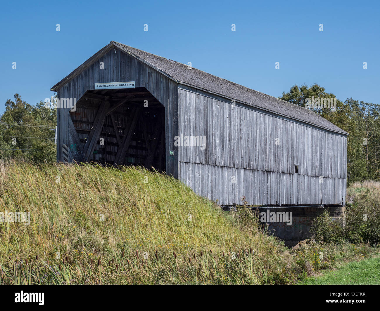 Segheria Creek ponte coperto fuori la Highway 114, Albert County, Baia di Fundy, New Brunswick, Canada. Foto Stock