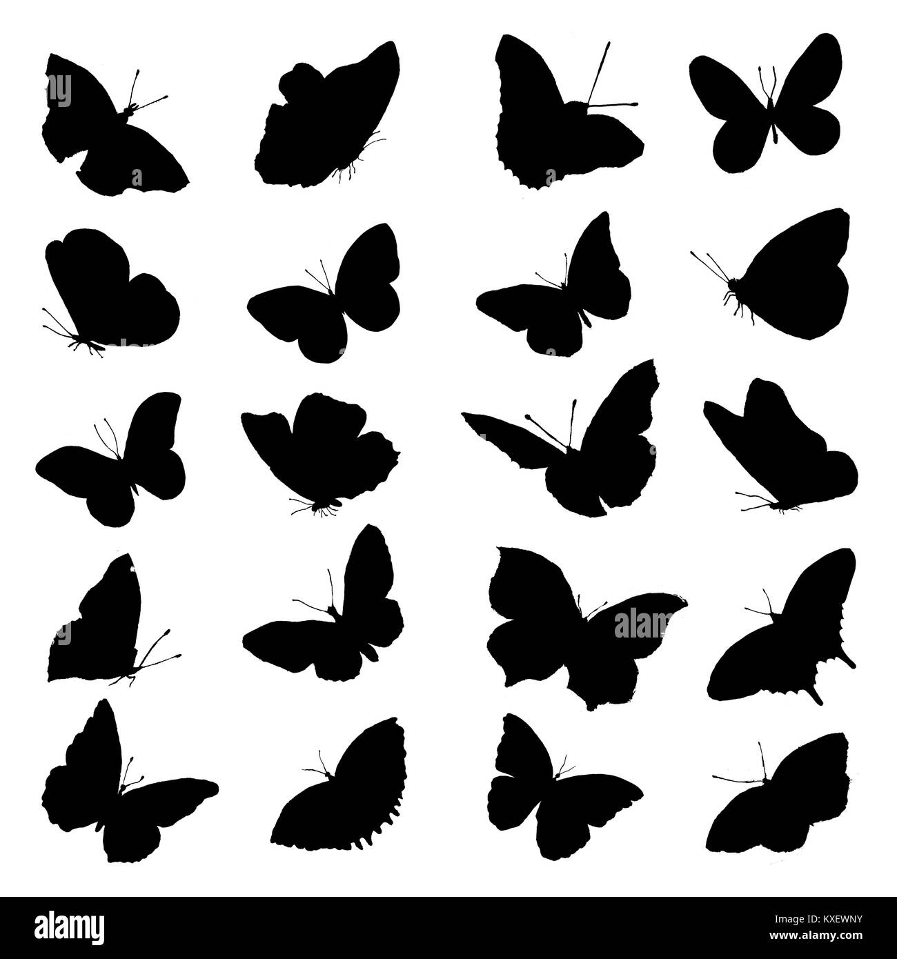 Silhouette nera di farfalle. Animale simbolo di farfalla è fatto a mano. Dipinte a mano e gli insetti. Ombra. Isolato butterfly pattern su uno sfondo bianco. Foto Stock