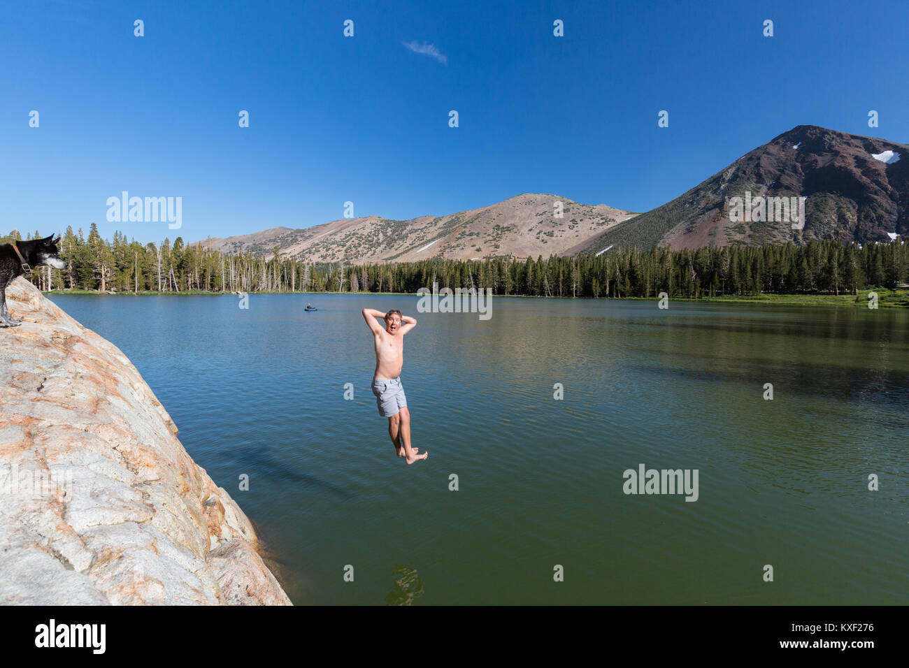 Un uomo balza in Trumbull Lago in California la Sierra Nevada mentre il suo cane guarda a. Foto Stock