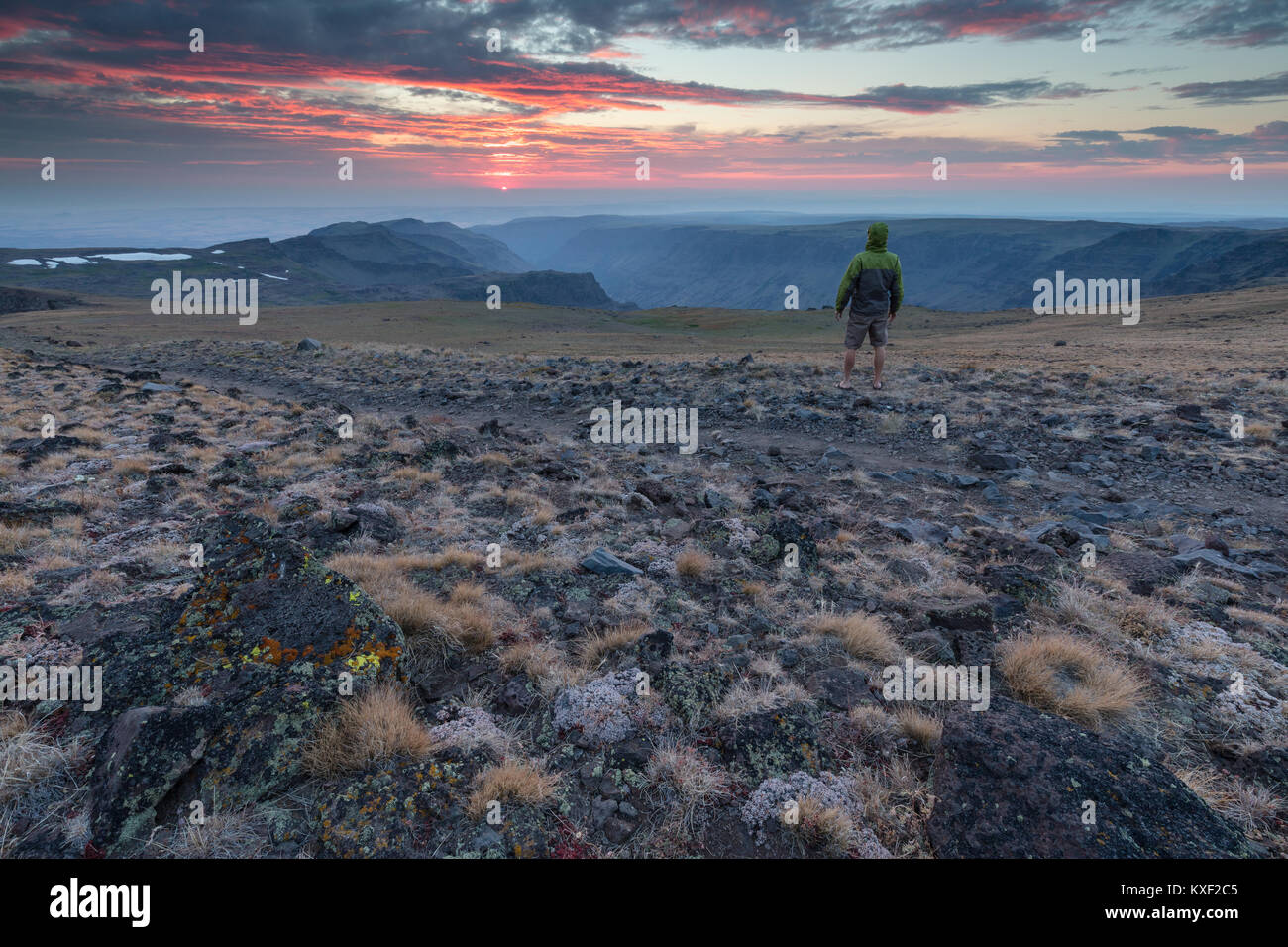 Un uomo orologi il tramonto sopra le nuvole dalla cima del monte Steens, Oregon. Foto Stock