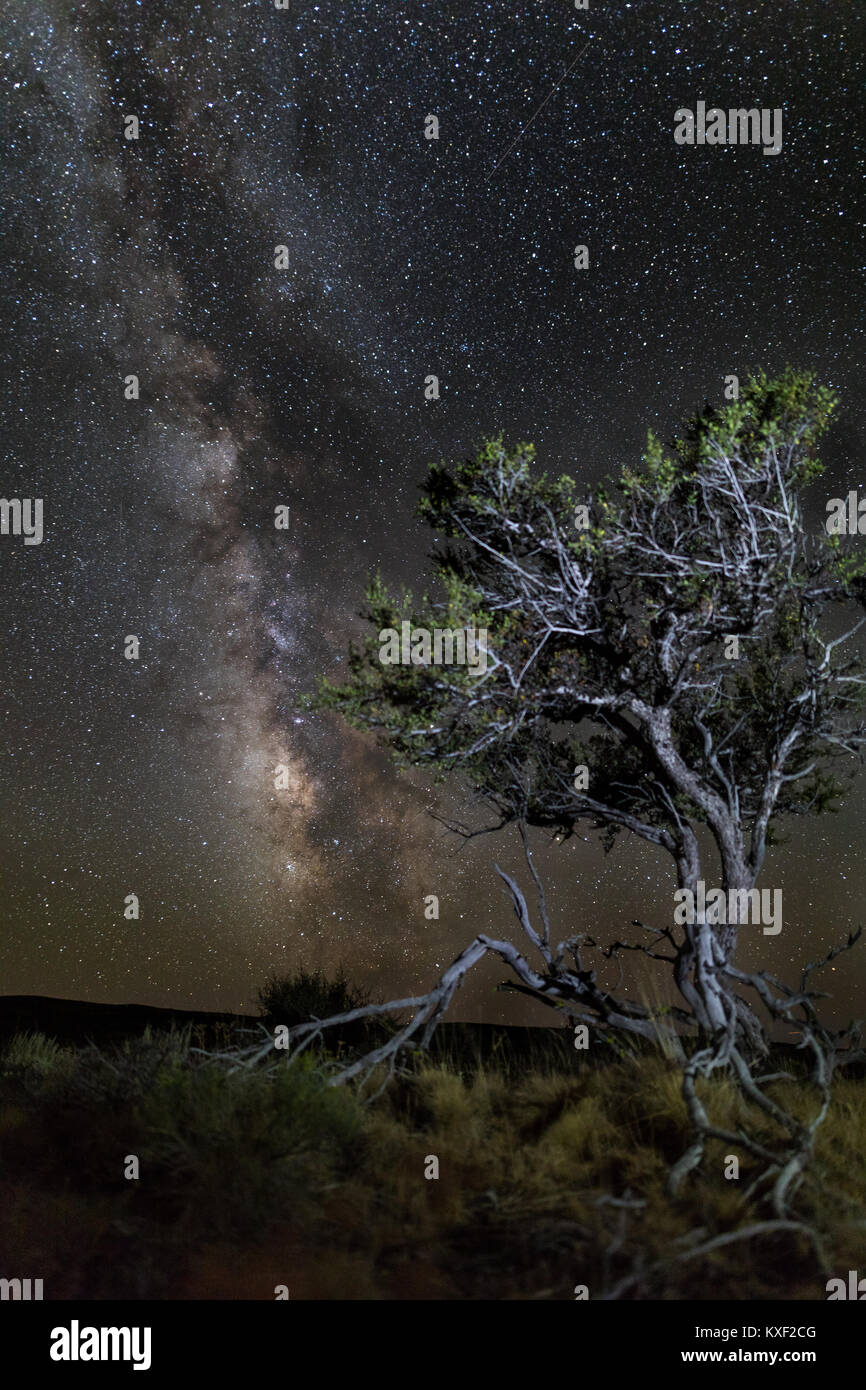 La Via Lattea risplende in testa dalla montagna Steens, Oregon. Foto Stock
